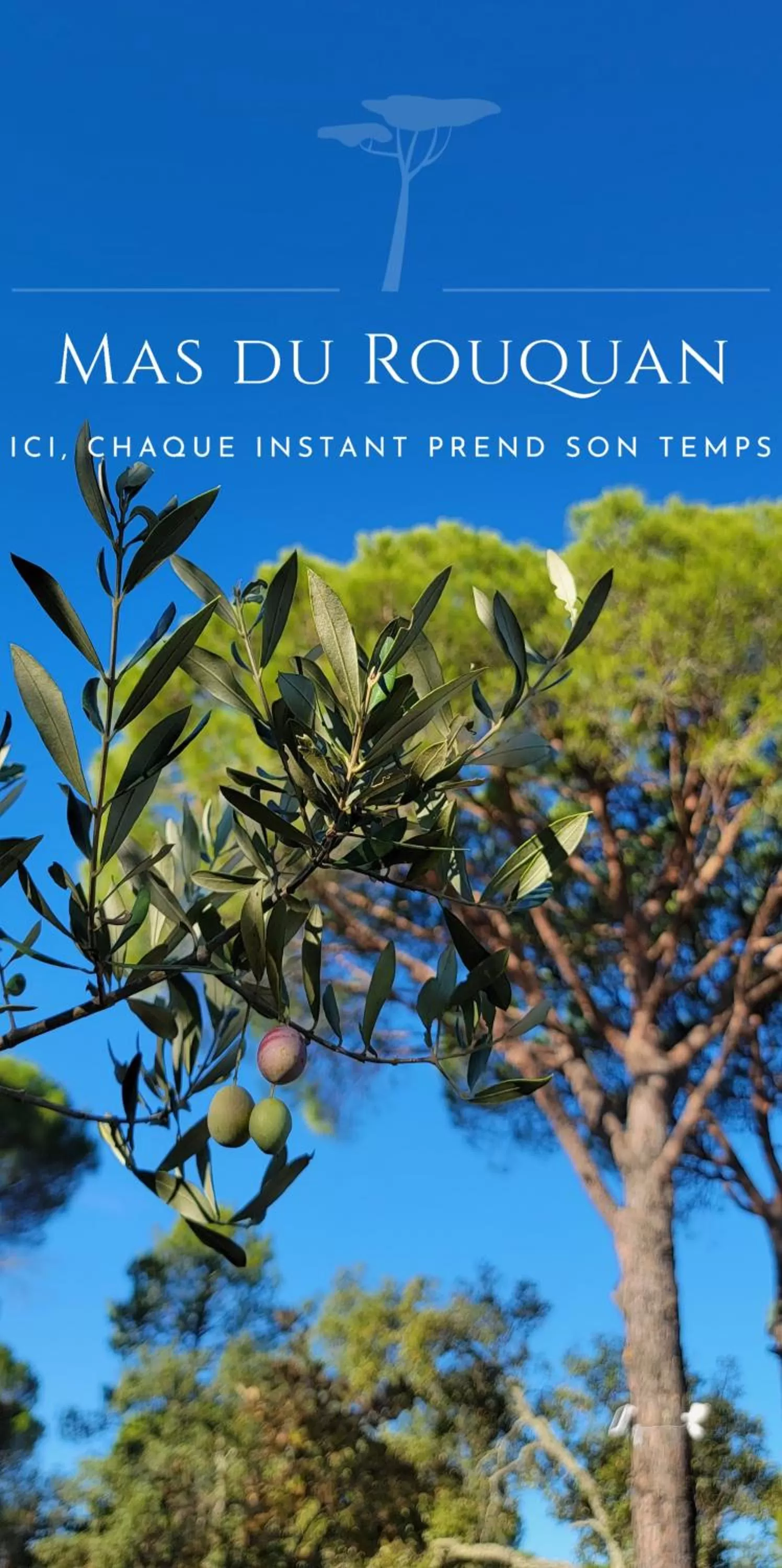 Natural landscape in Le Mas du Rouquan