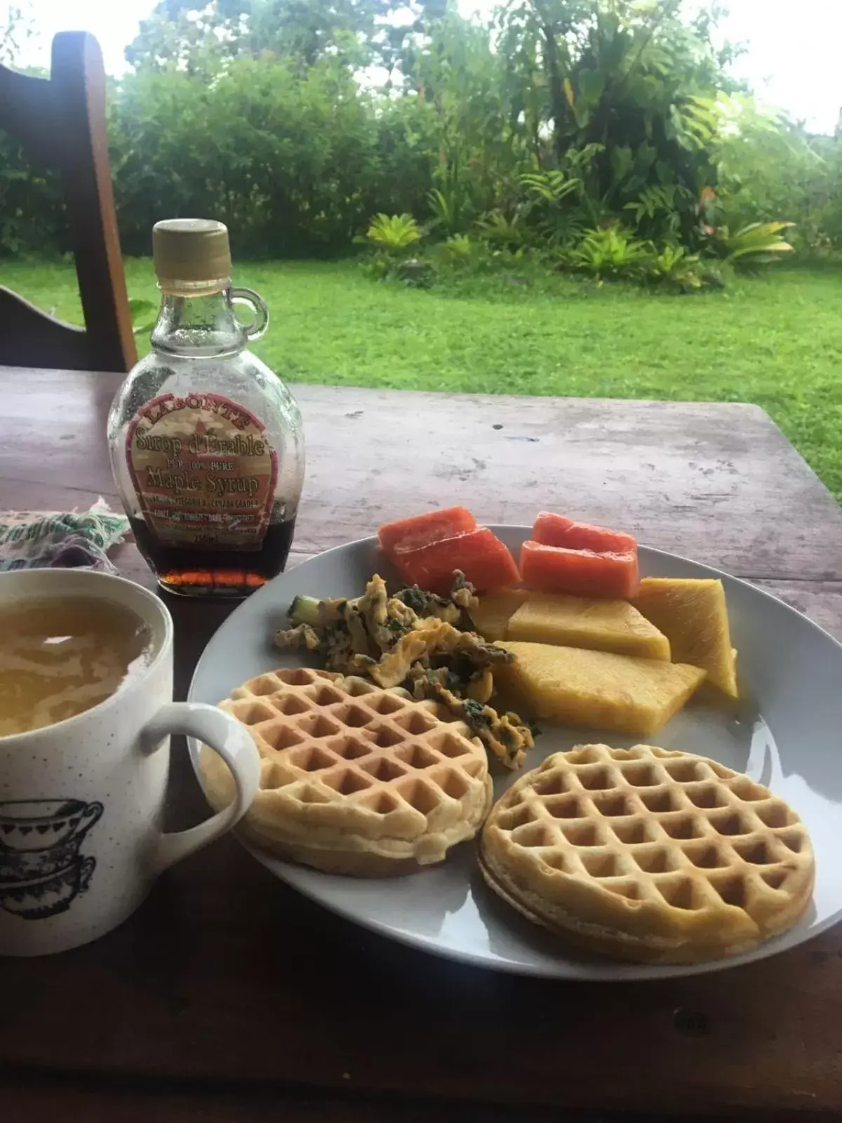 Continental breakfast in Birds & Breakfast Costa Rica