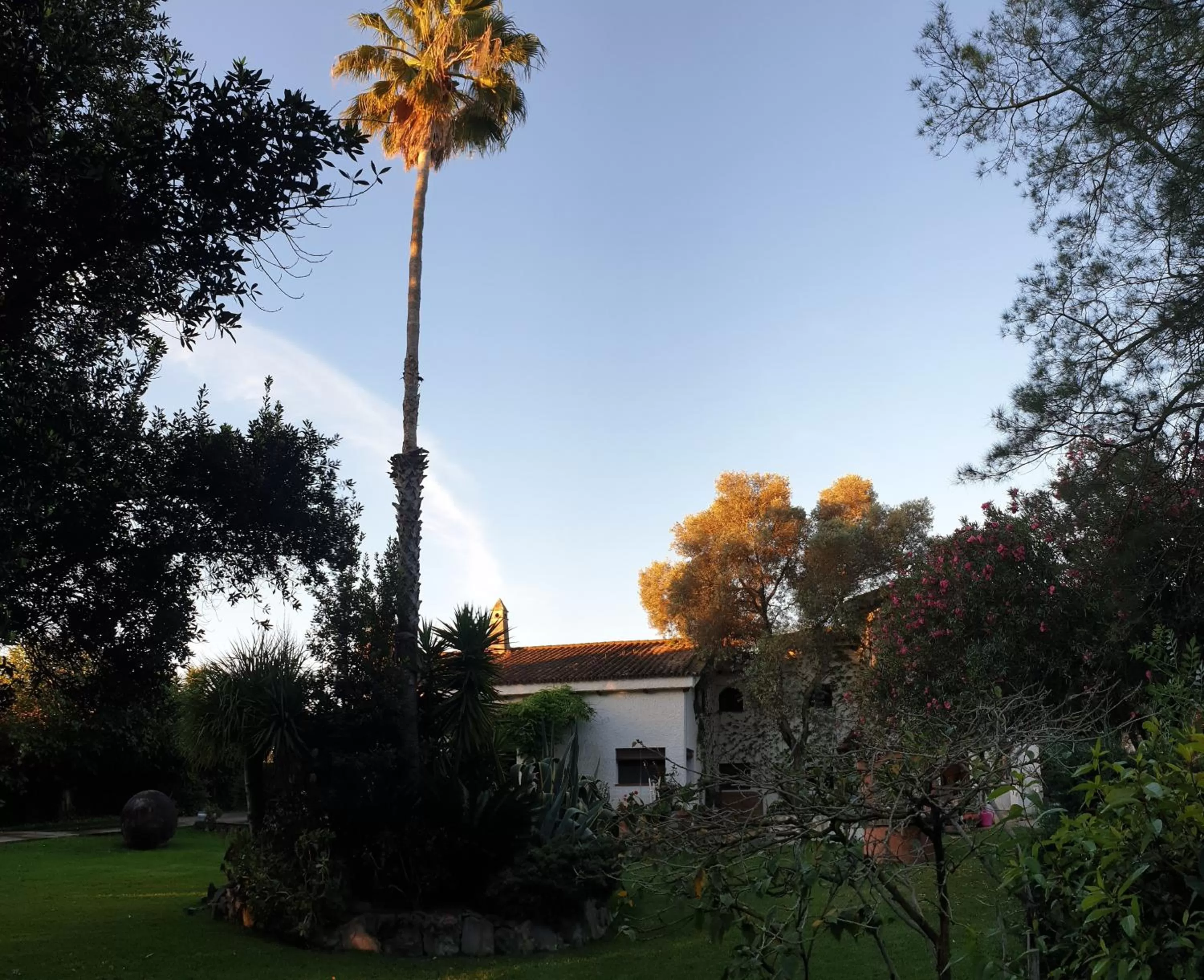 Property Building in La Casa del Torreón