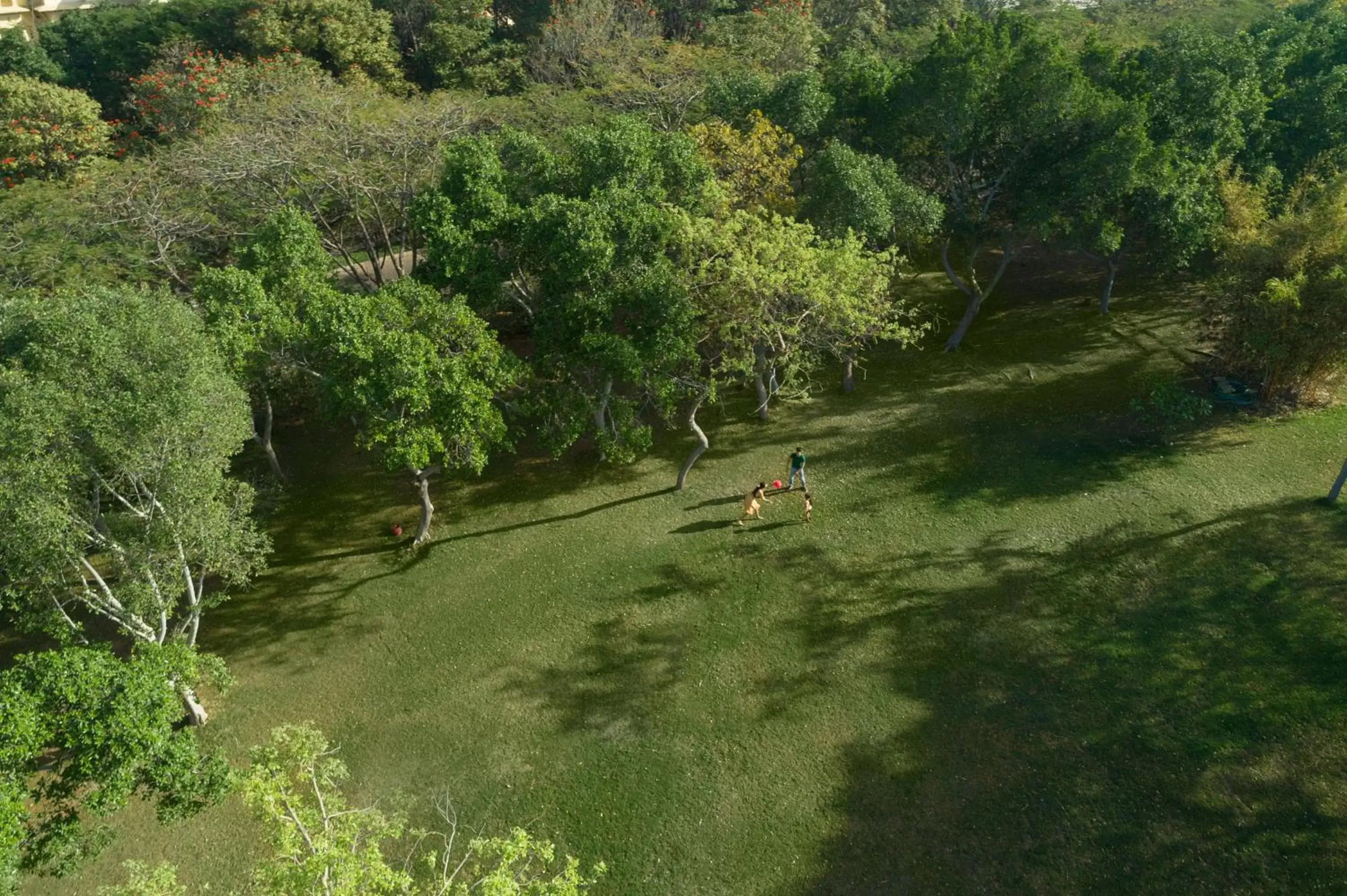 Garden in Trident Udaipur