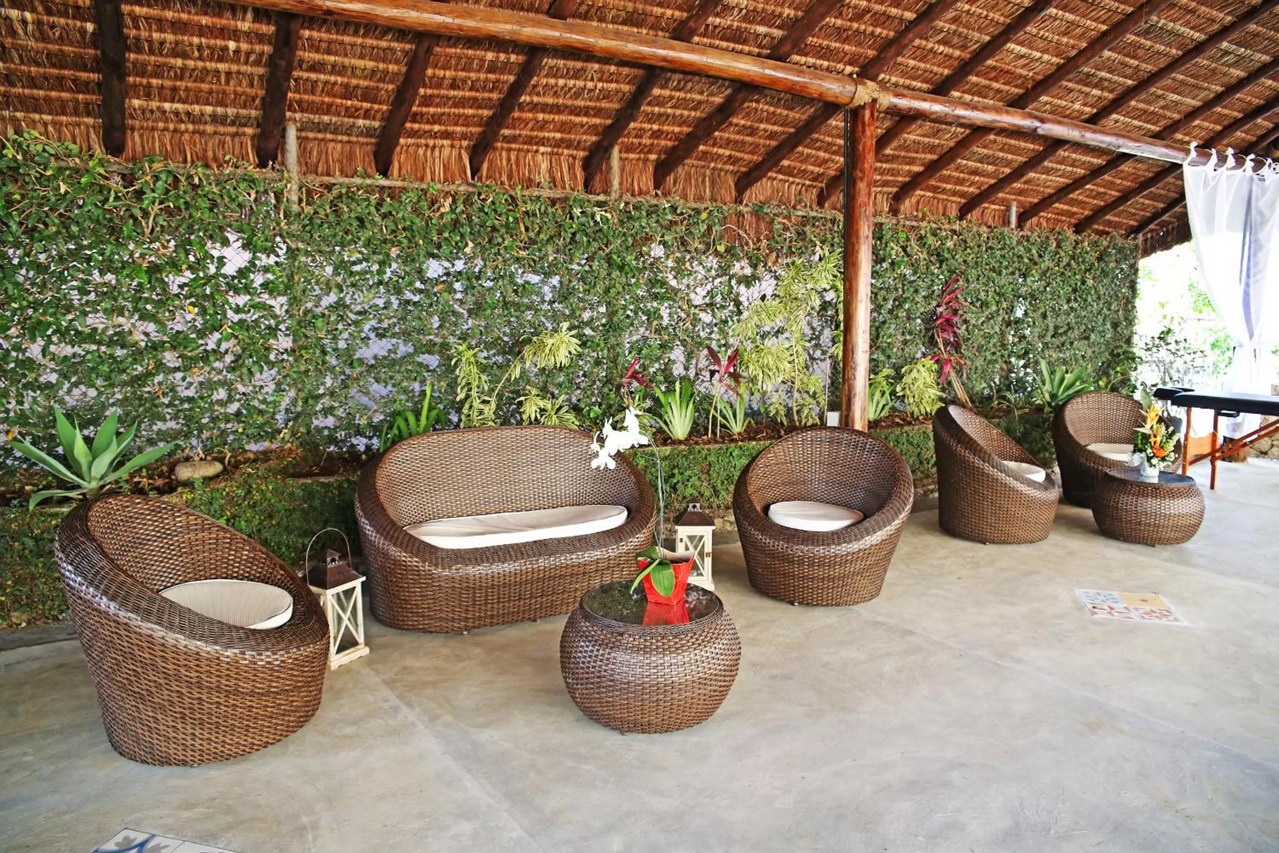 Lounge or bar in Sant' Martre