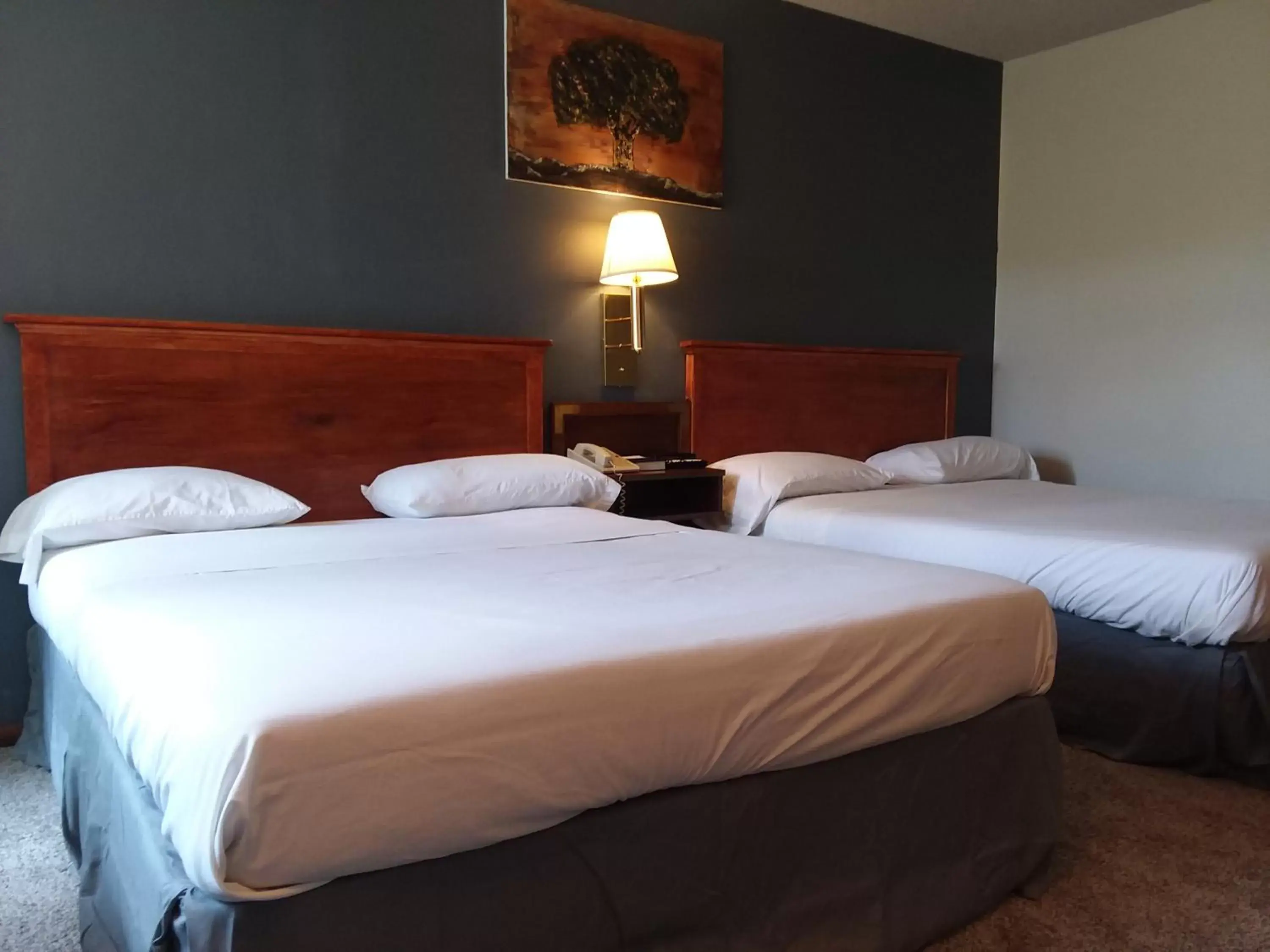Bed in Americas Best Value Inn Laramie