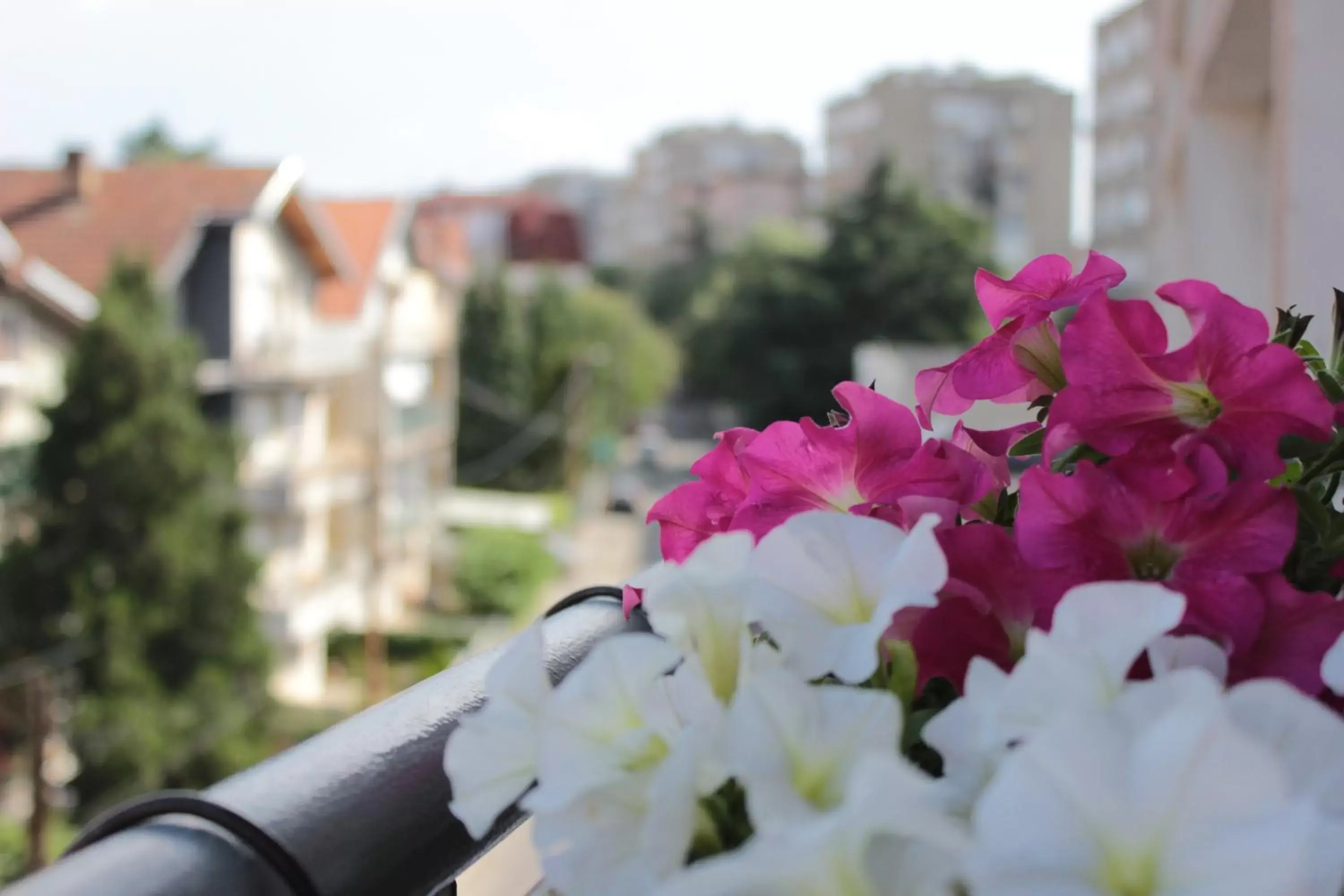 Balcony/Terrace in Balkan Hotel Garni