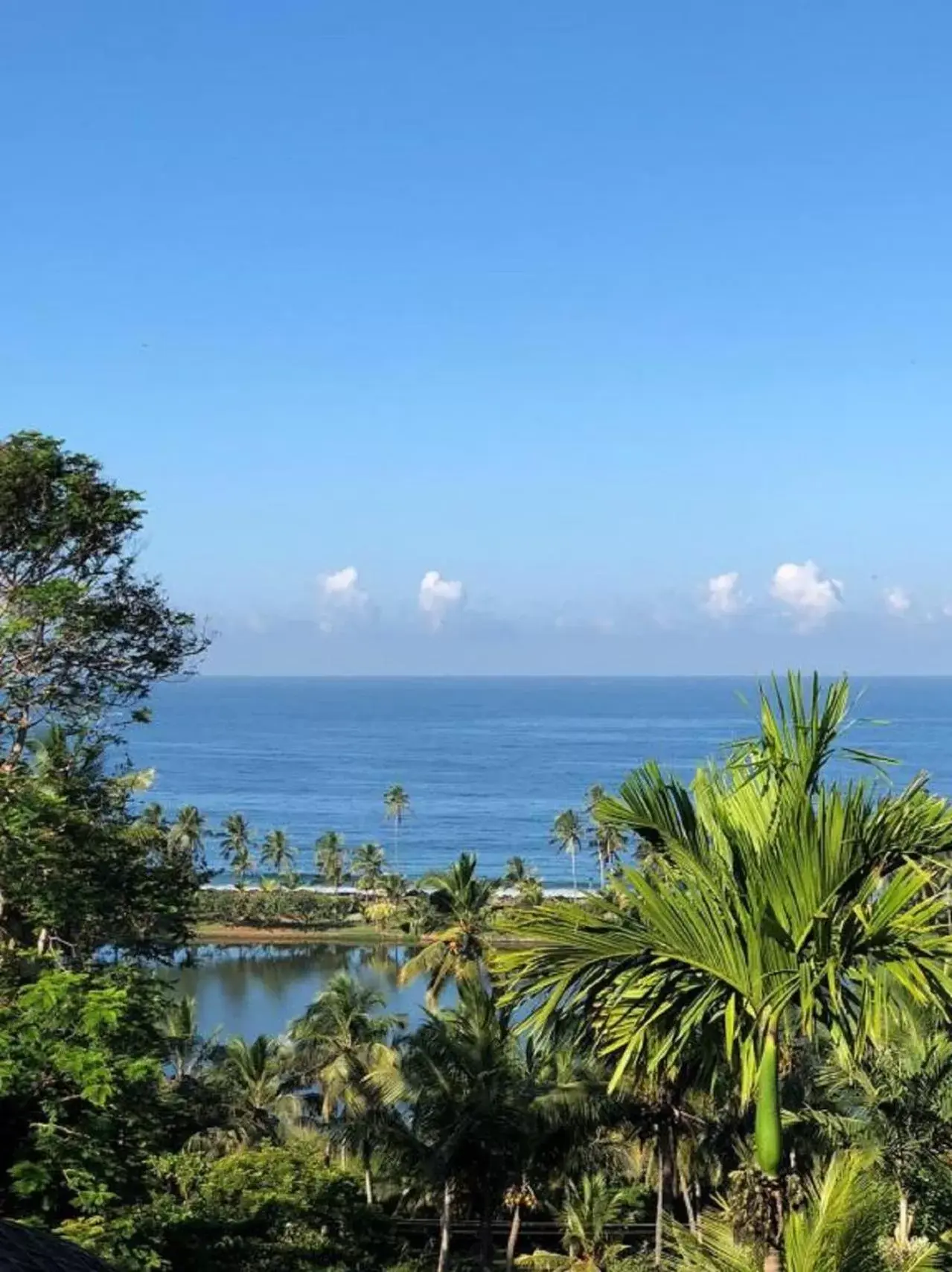 Natural landscape in Taj Green Cove Resort and Spa Kovalam