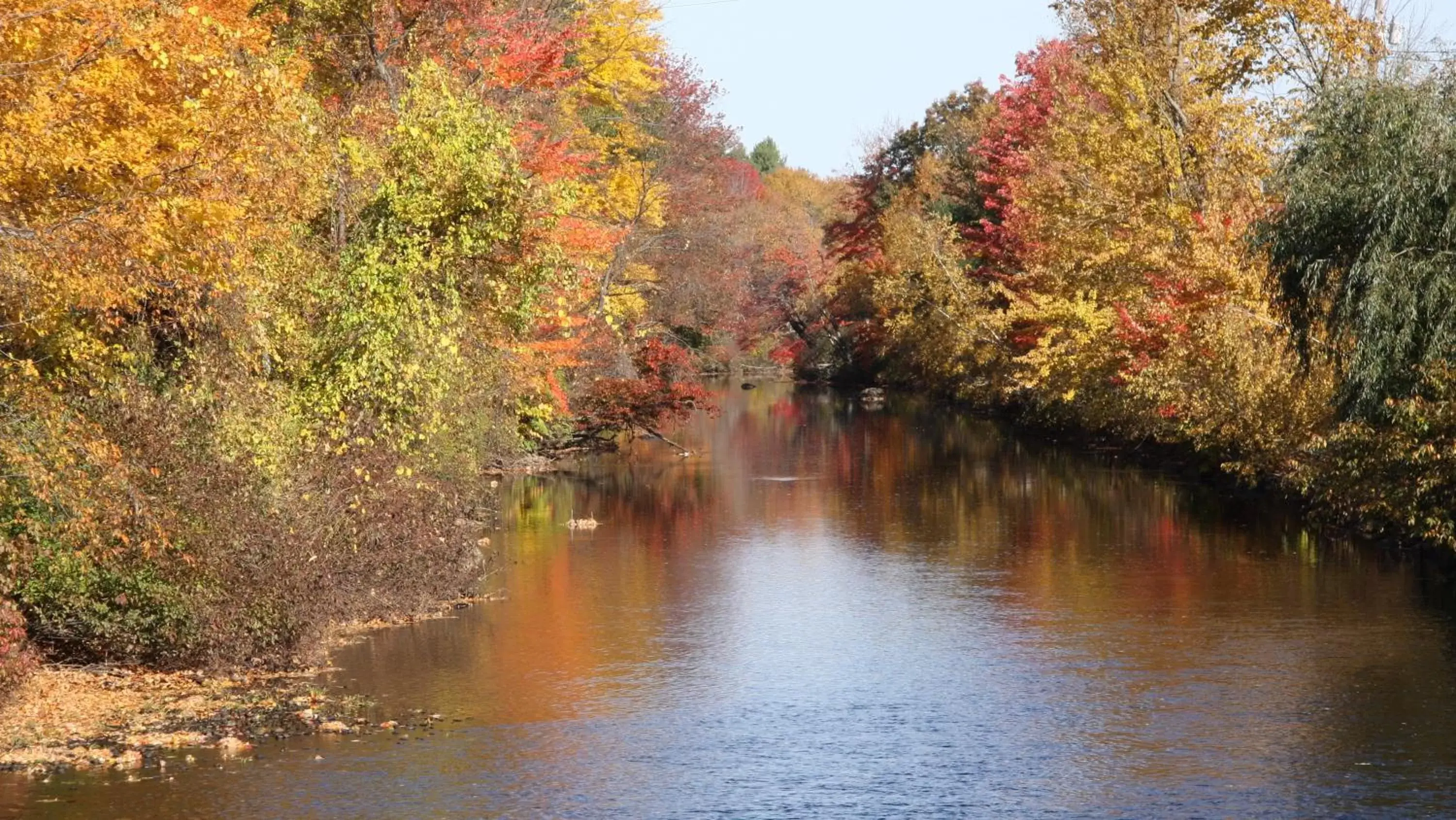 River view in Riverhouse by Weekender formerly Jack Daniels Inn River view in Riverhouse by Weekender formerly Jack Daniels Inn