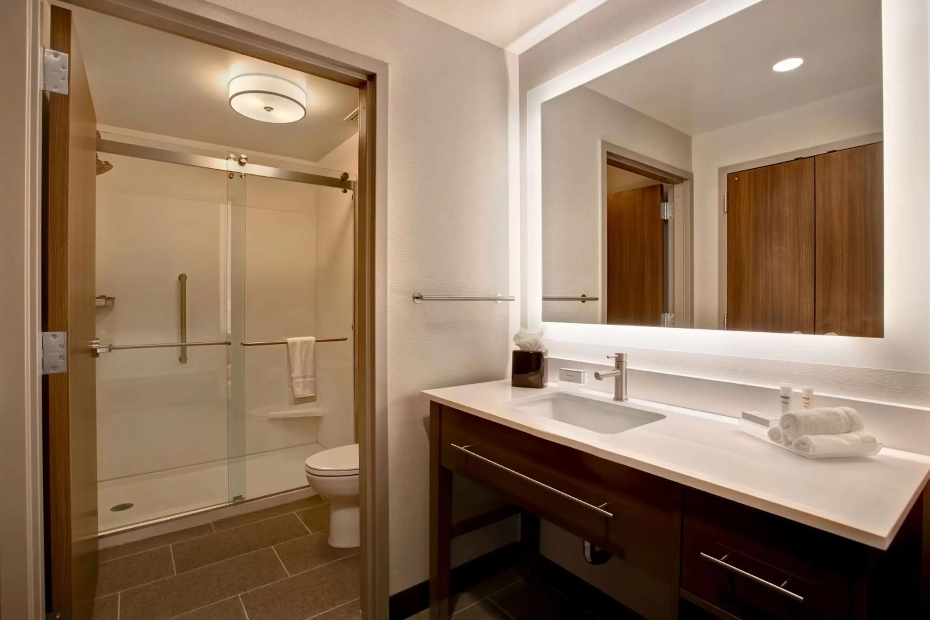 Bathroom in Homewood Suites By Hilton Summerville