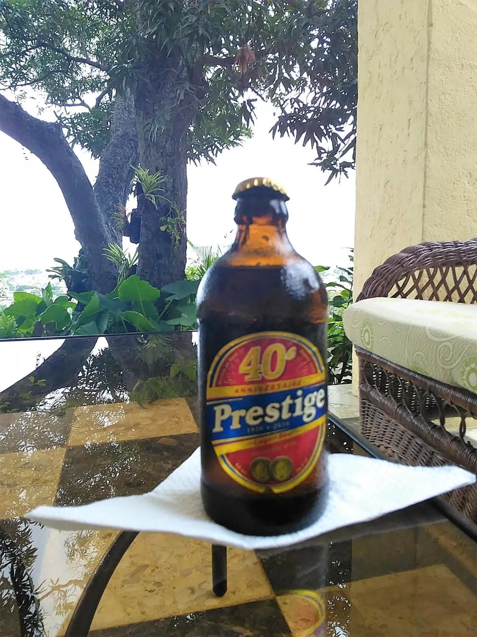 Non alcoholic drinks in Habitation Des Lauriers