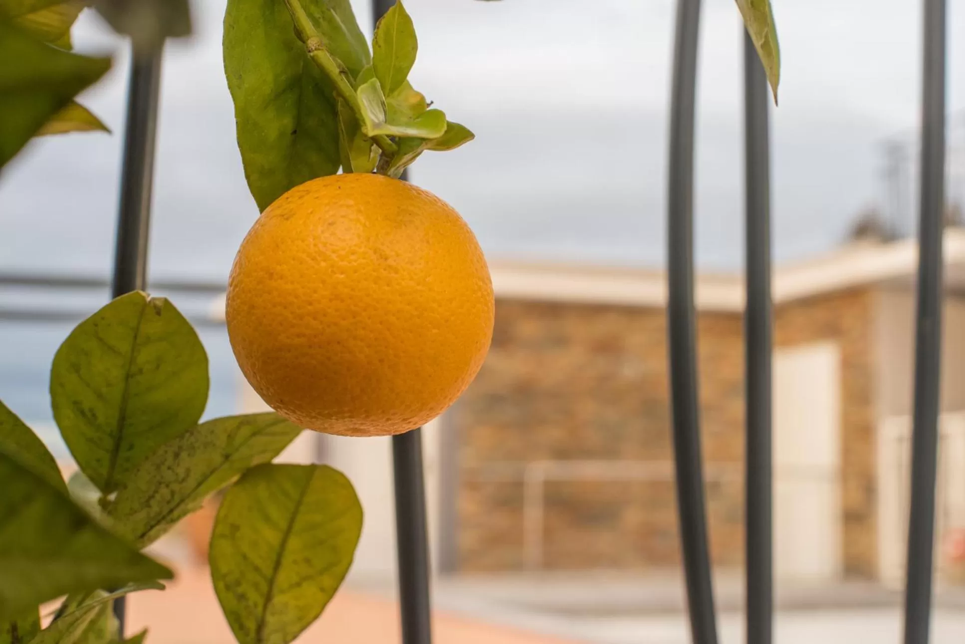 Garden in Sure Hotel by Best Western Beziers Le Monestie