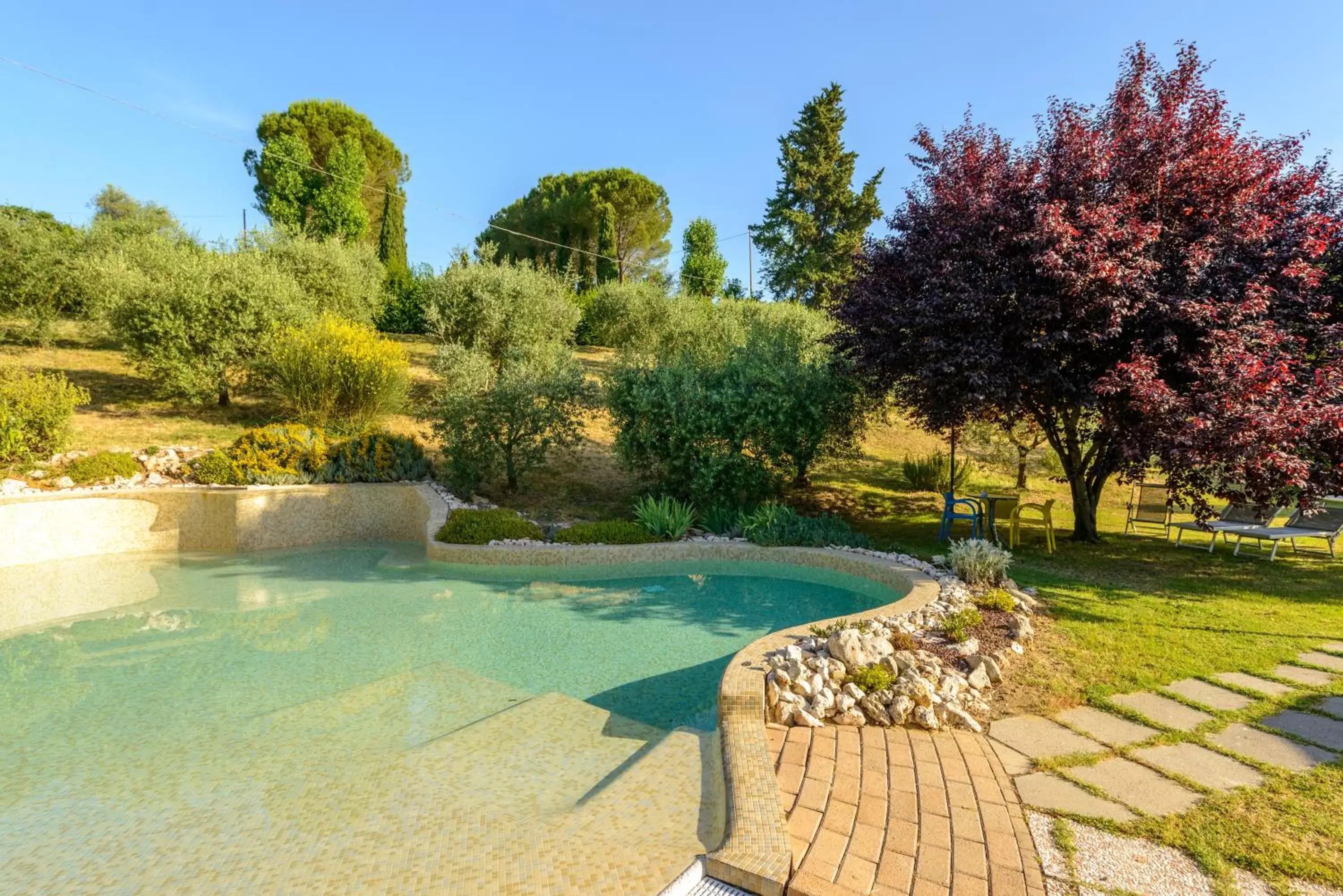 Garden, Swimming Pool in Hotel Sovestro