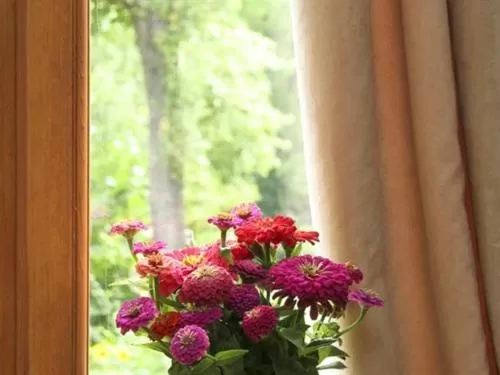 Other in Chambres d'hôtes-Les Chambres de Mado