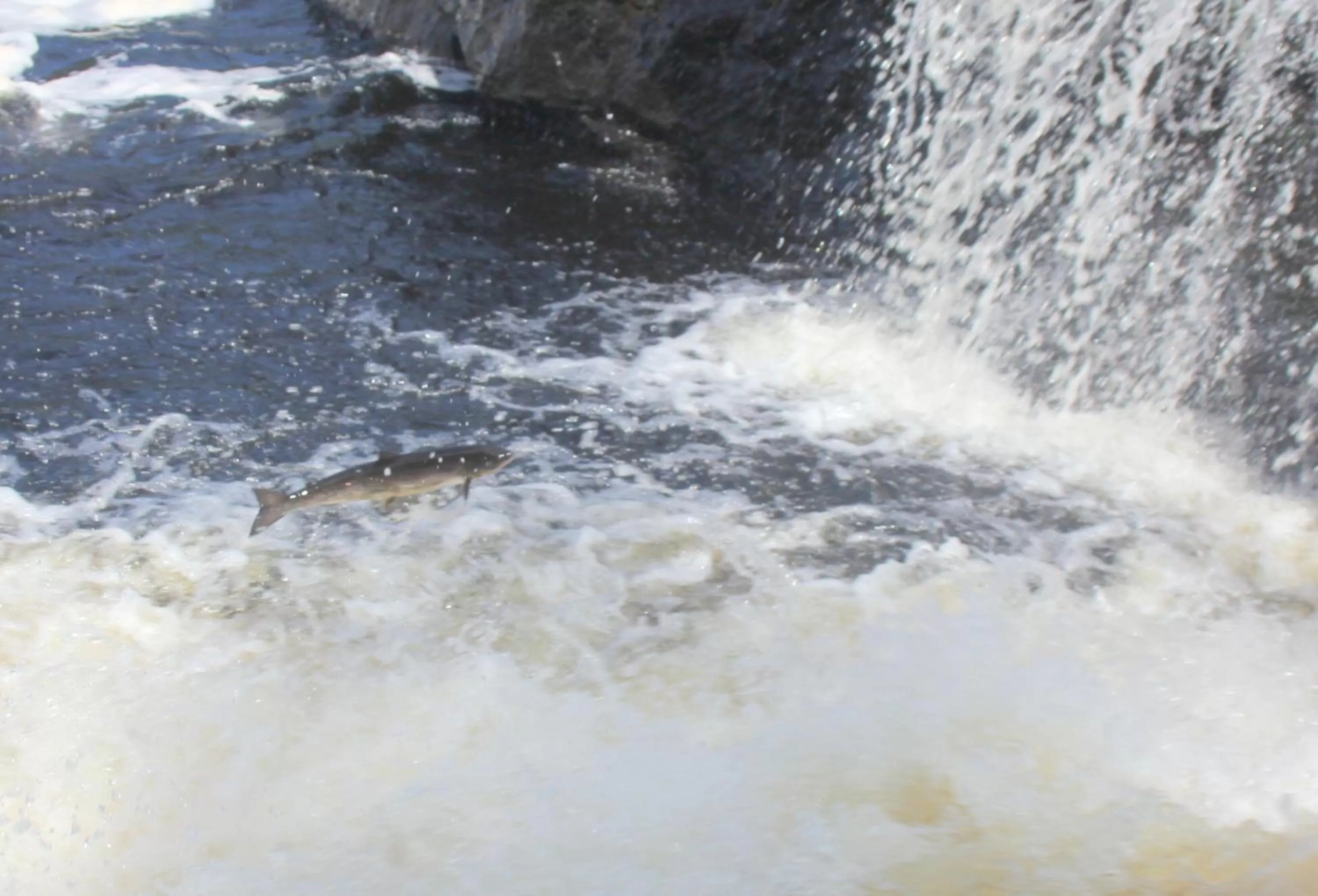 Nearby landmark in Deer Lake Horizon Hotel