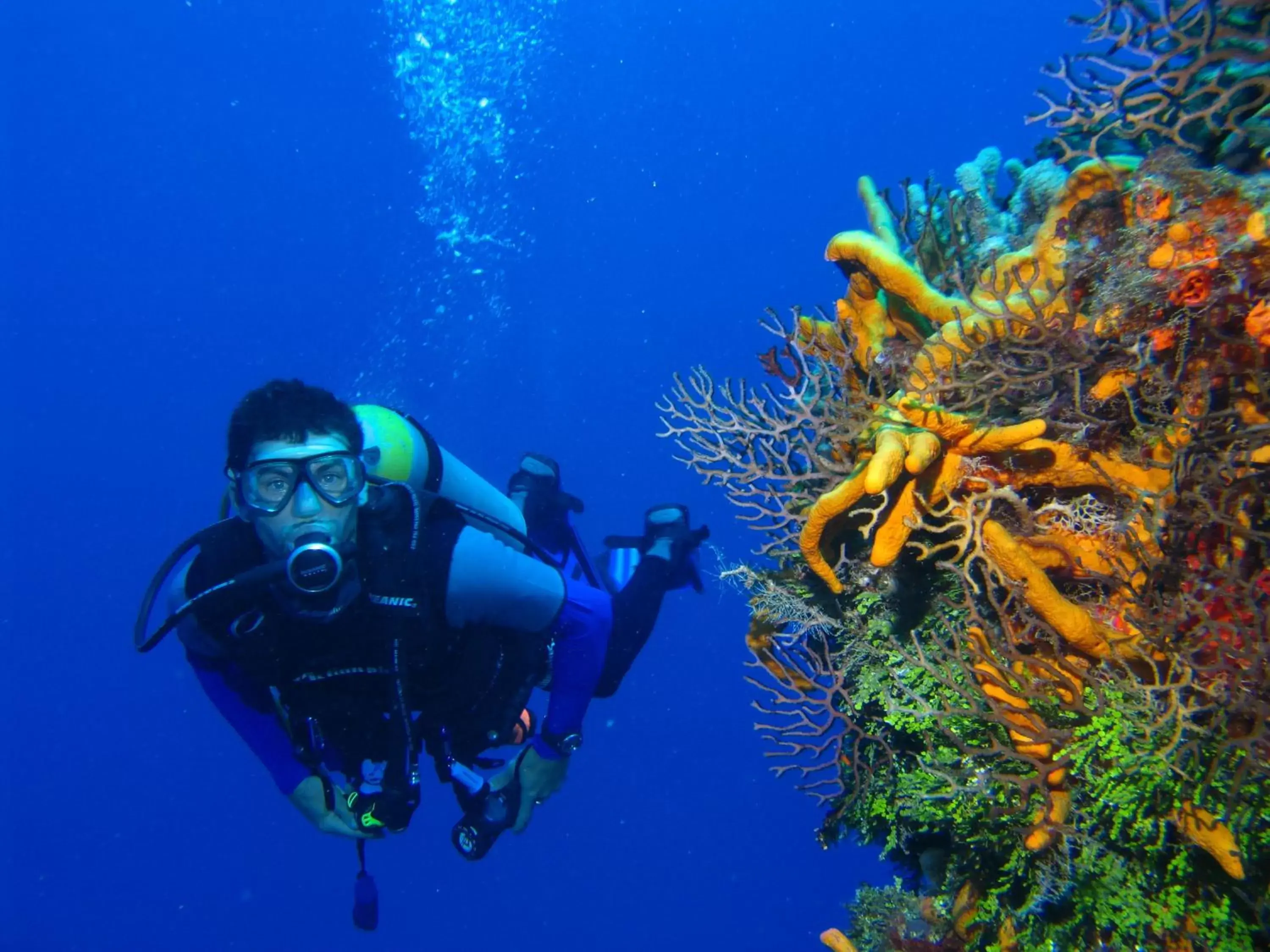 Activities, Snorkeling/Diving in Steigenberger Aldau Beach Hotel