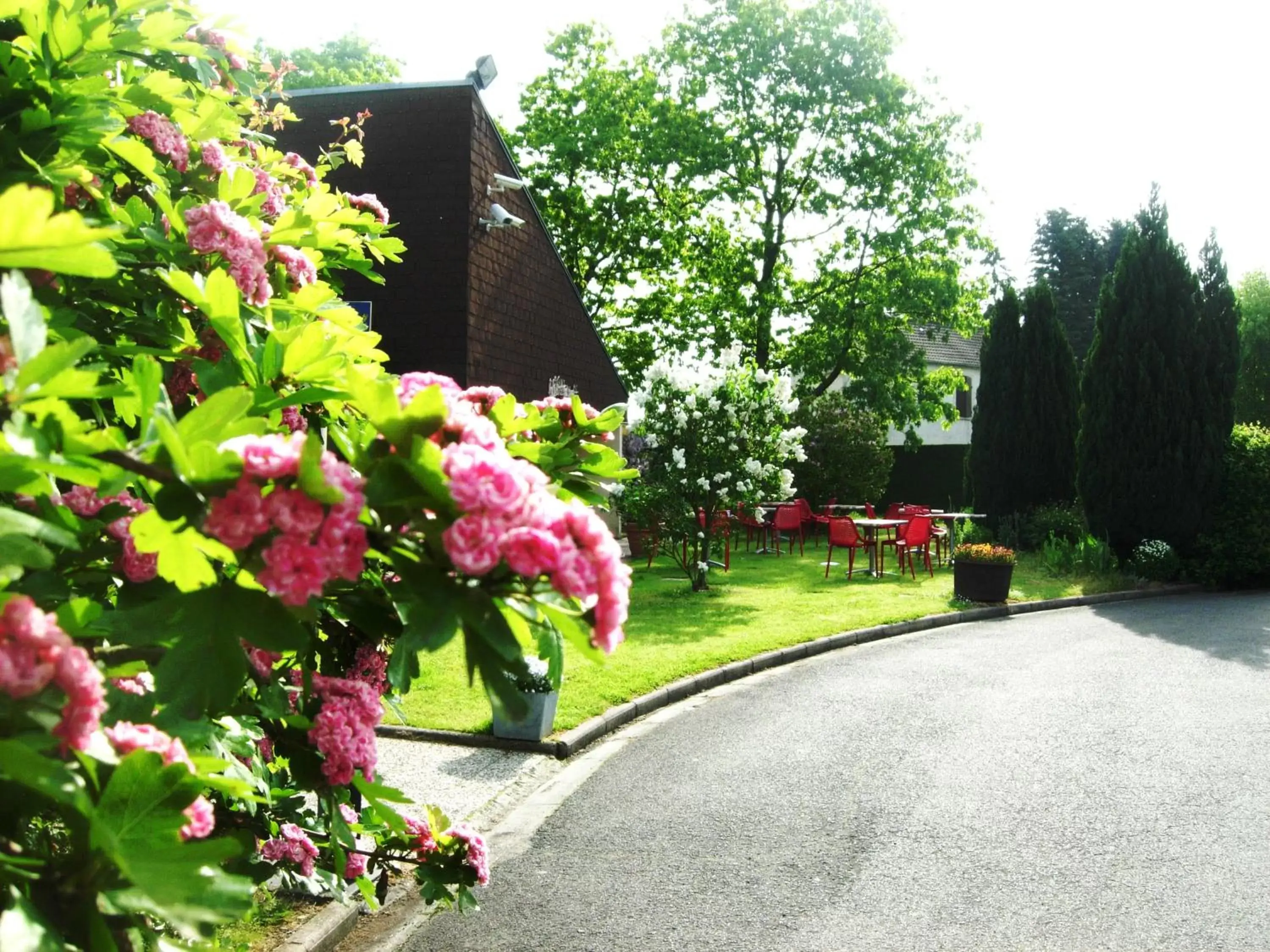 Patio, Garden in Hotel Bonanite