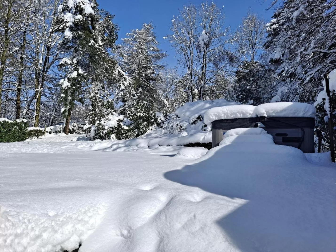 Garden in Robin Hood Farm B&B