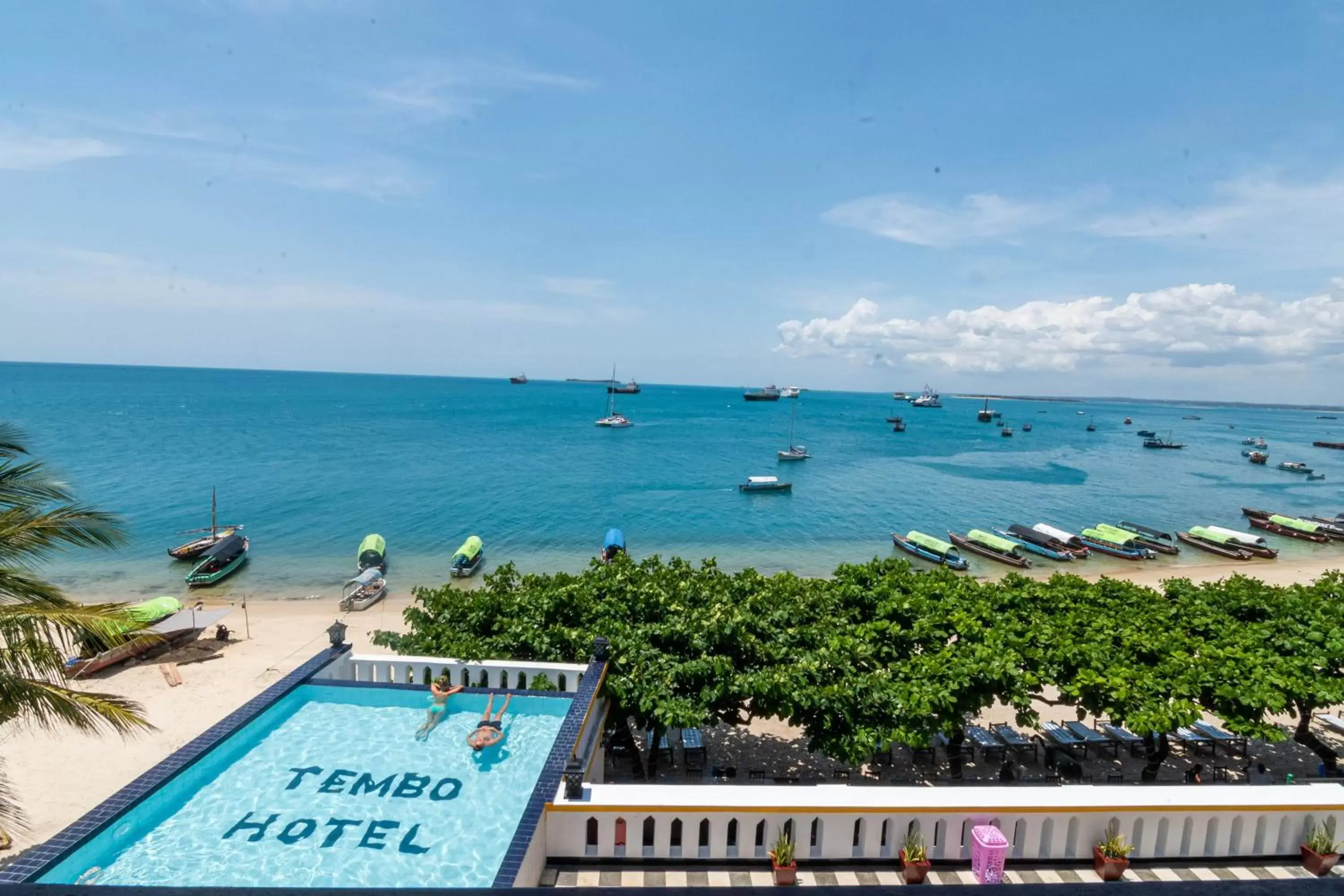 View (from property/room), Pool View in Tembo House Hotel