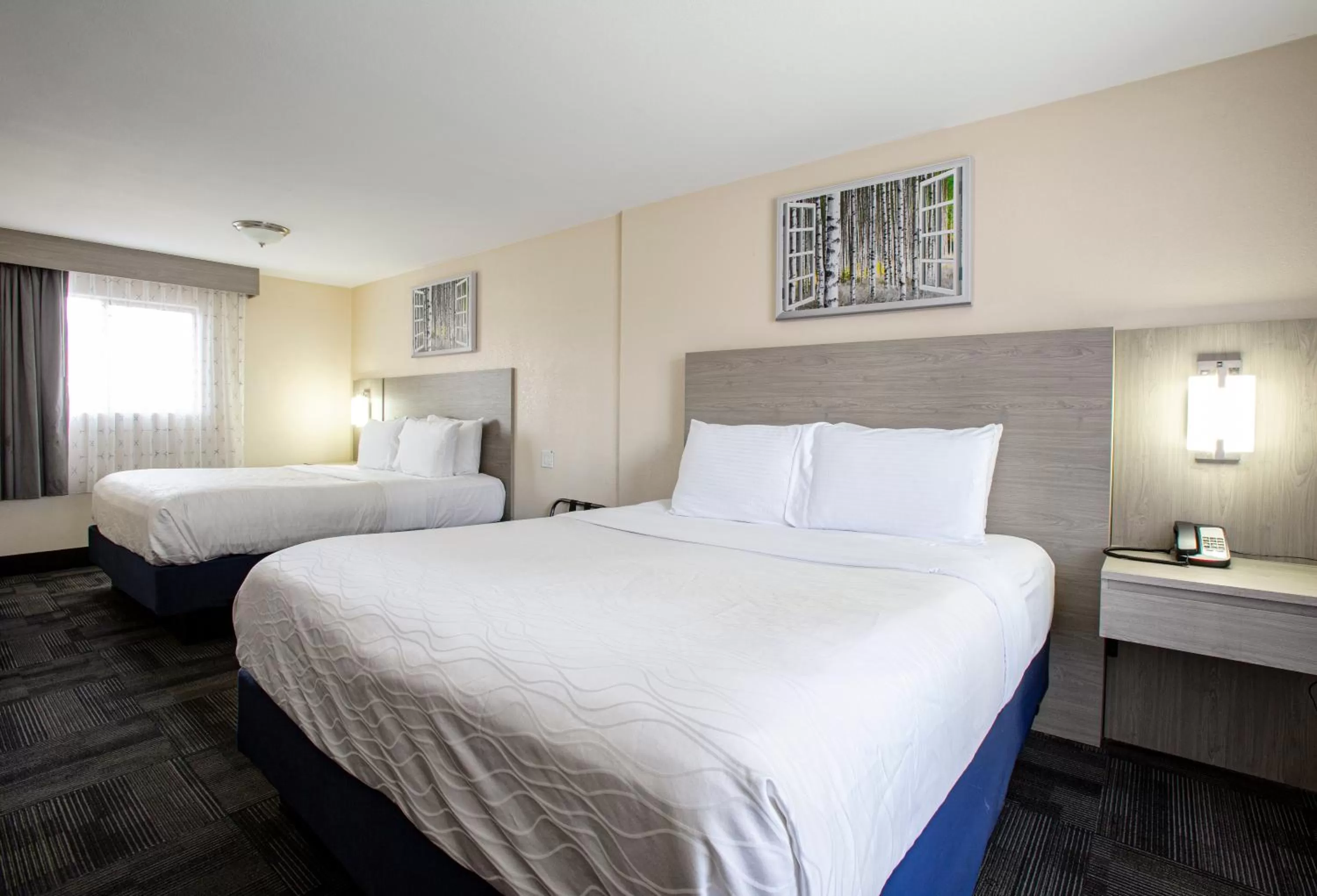 Bedroom, Bed in Hotel Aspen Flagstaff/ Grand Canyon InnSuites