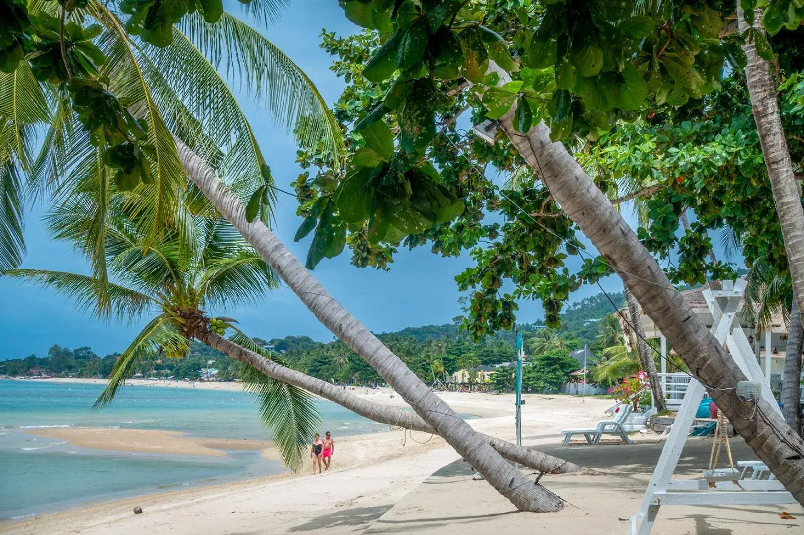 Beach in Sand Sea Resort & Spa - Lamai Beach , Koh Samui