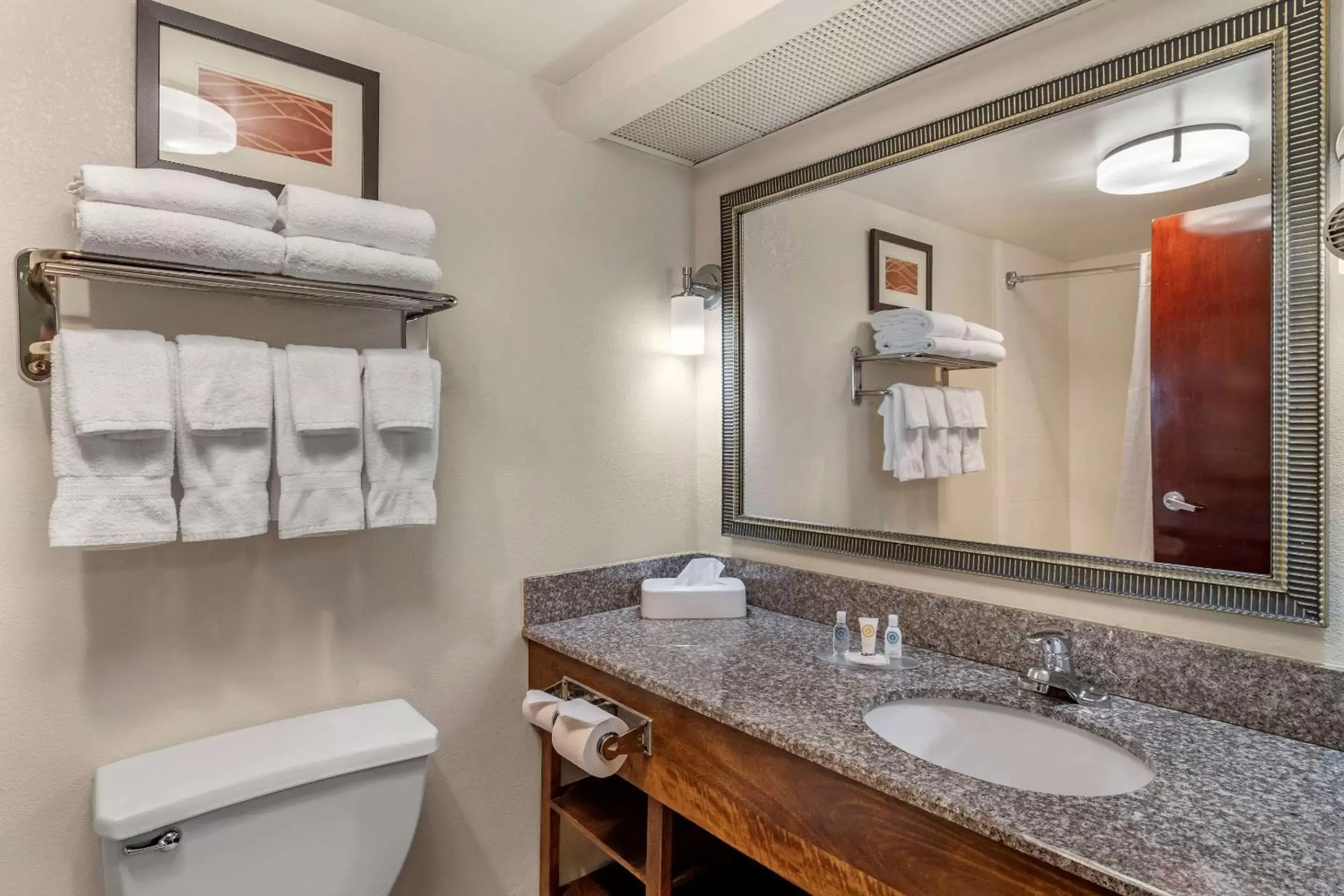 Bathroom in Comfort Inn & Suites Athens