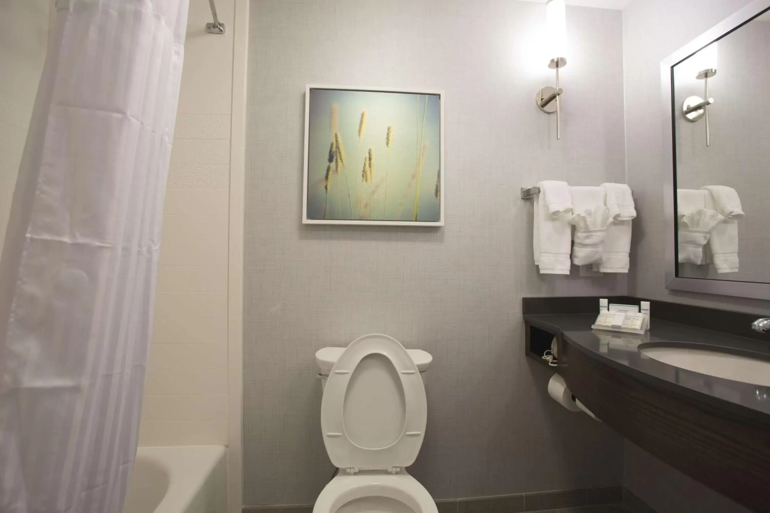 Premium King Room in Hilton Garden Inn Bolingbrook I-55 Premium King Room in Hilton Garden Inn Bolingbrook I-55