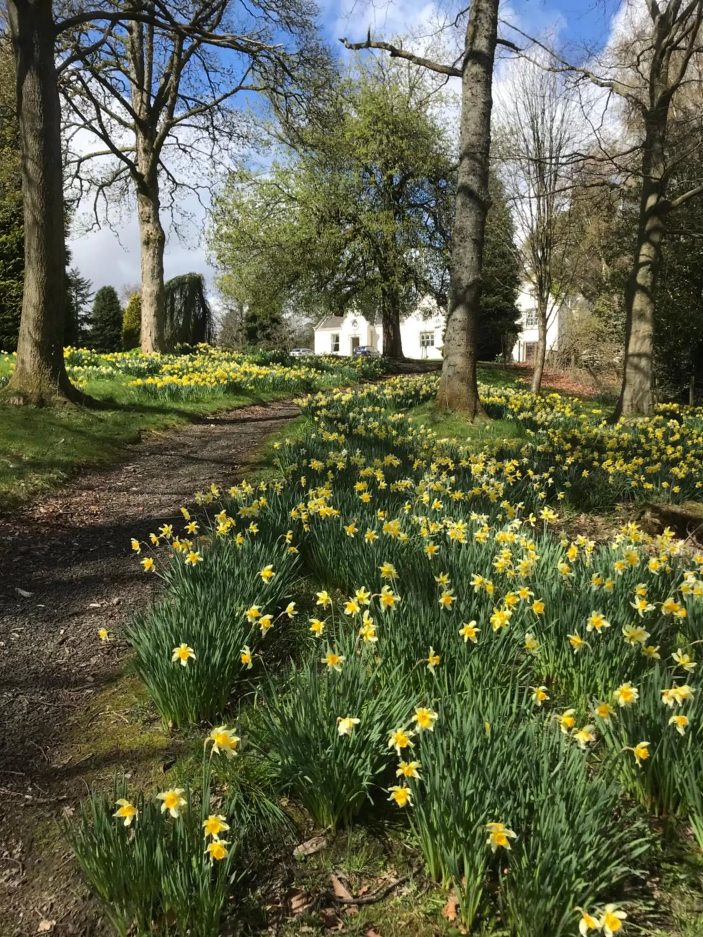 Garden in West Plean House