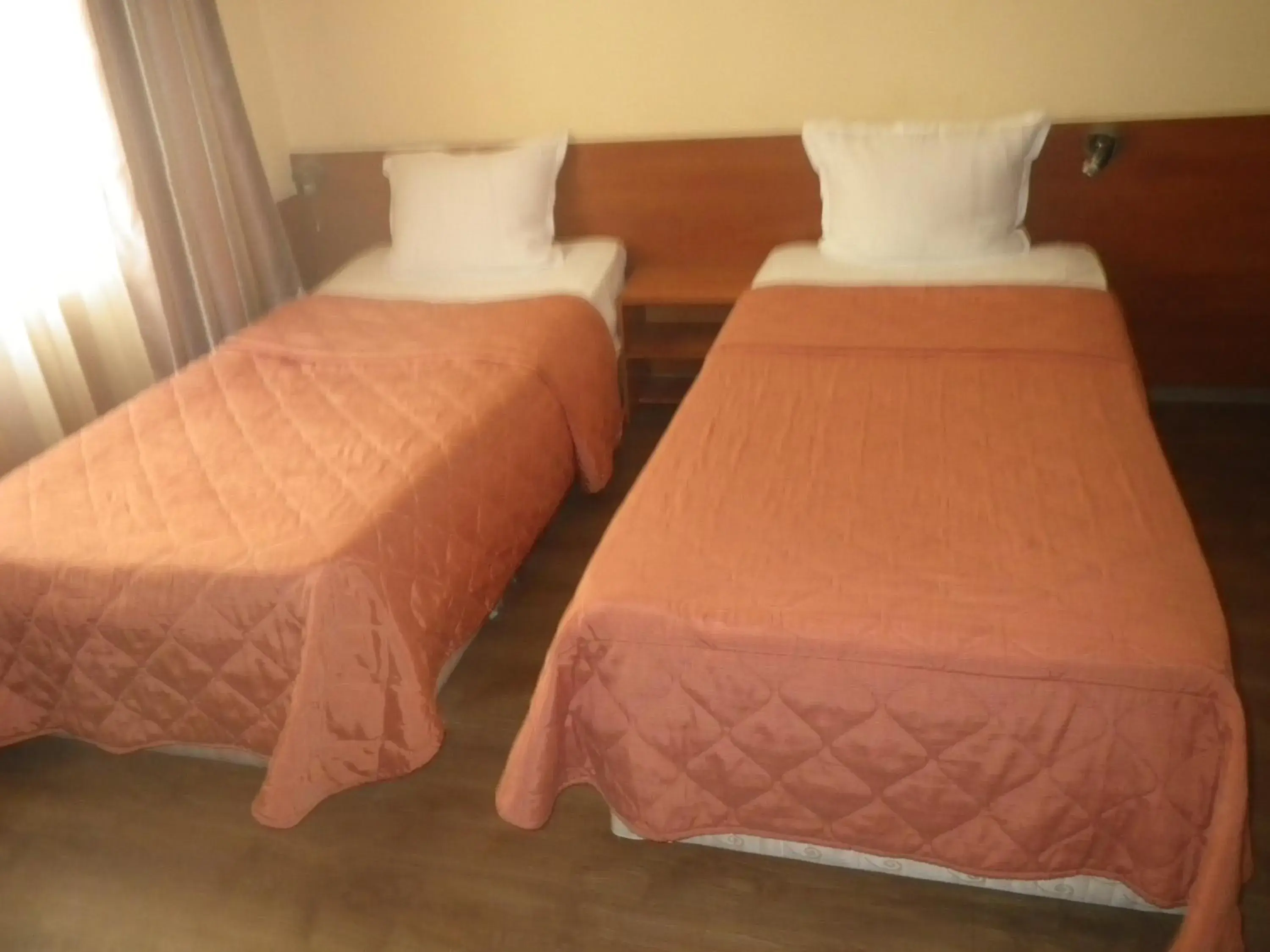 Bed, Room Photo in Hotel Palitra