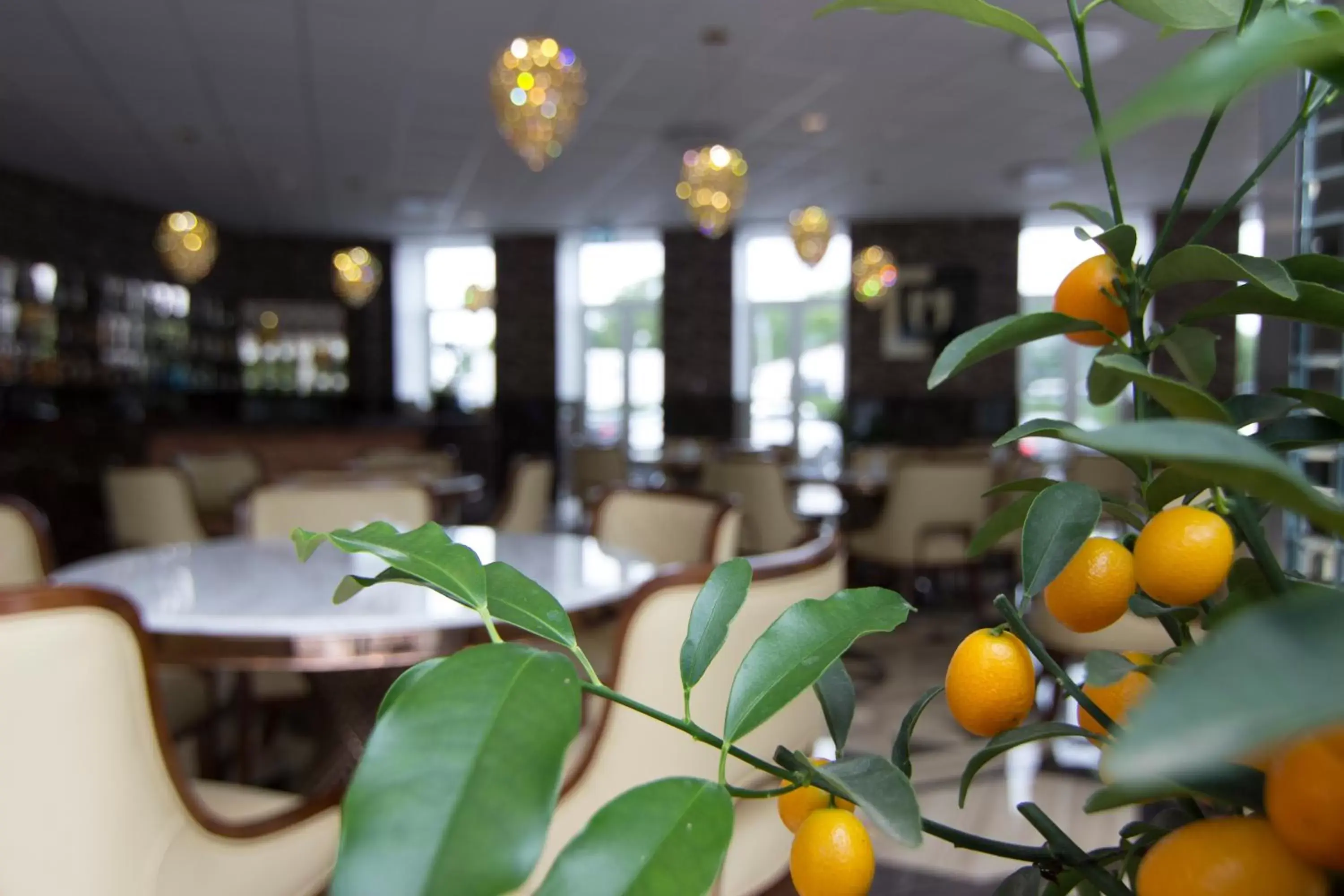 Restaurant/places to eat in A Hotels Glostrup Restaurant/places to eat in A Hotels Glostrup