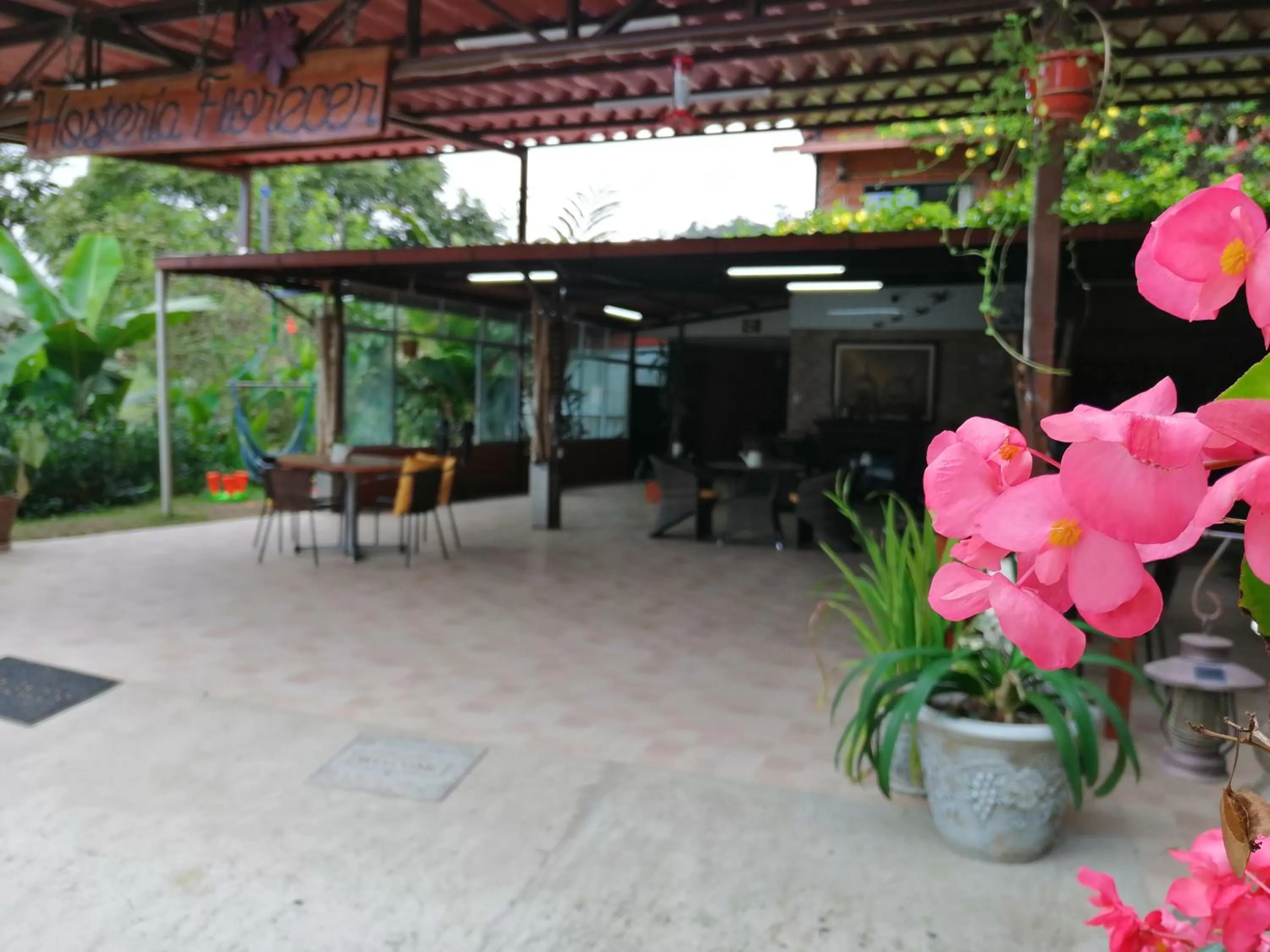 Lounge or bar in Hosteria Florecer