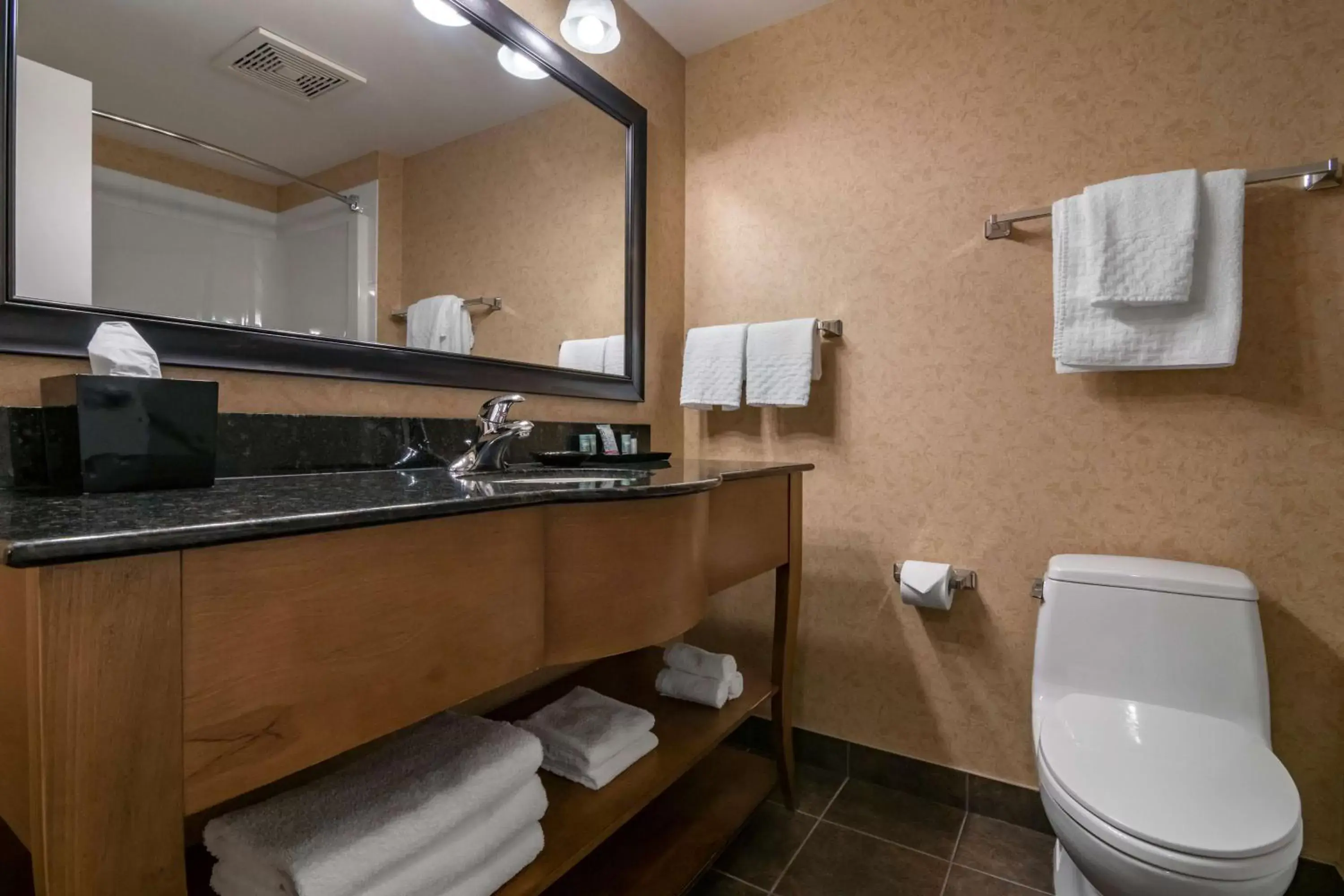 Bathroom in Best Western Sicamous Inn