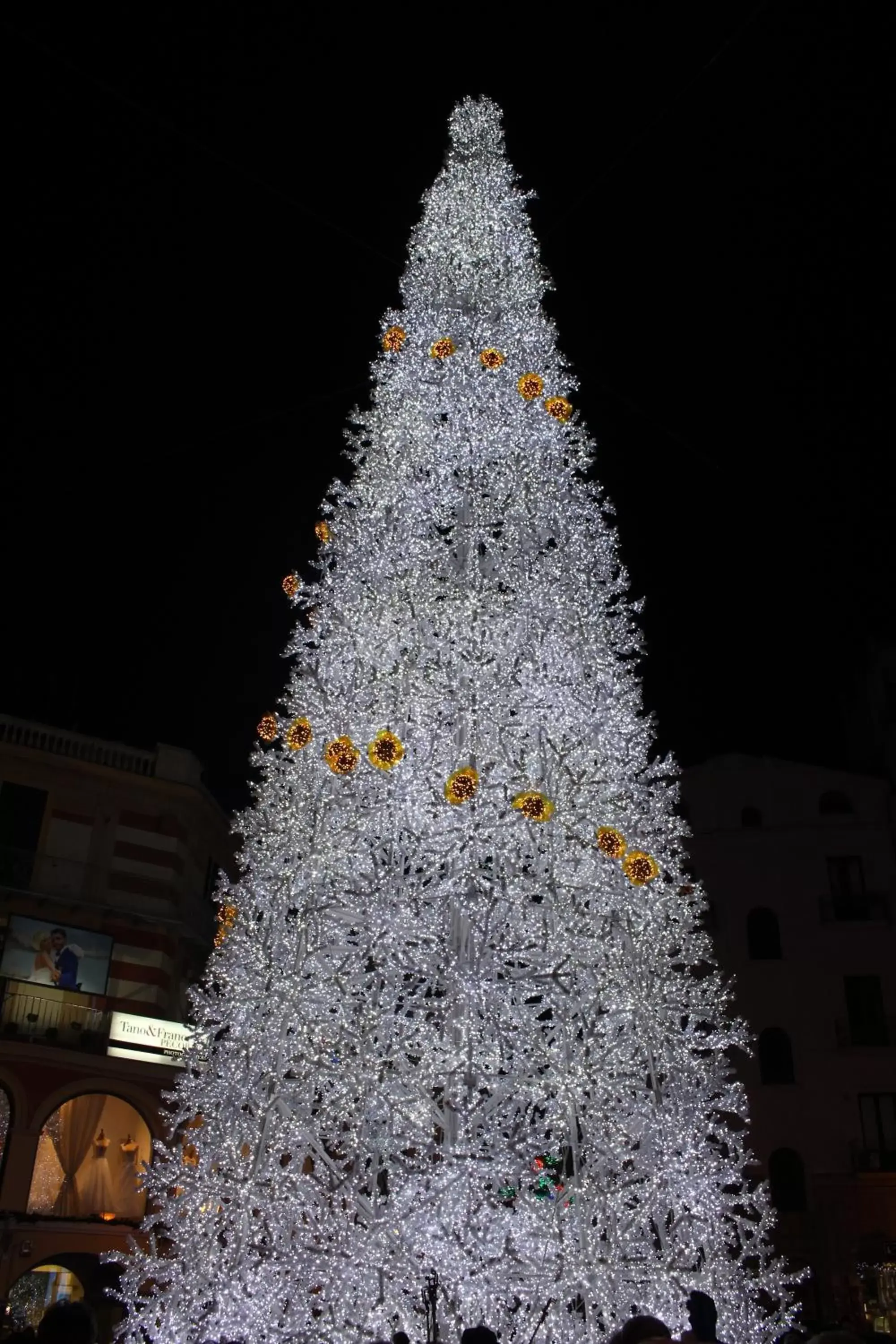 Nearby landmark in B&B Lucio e Lili