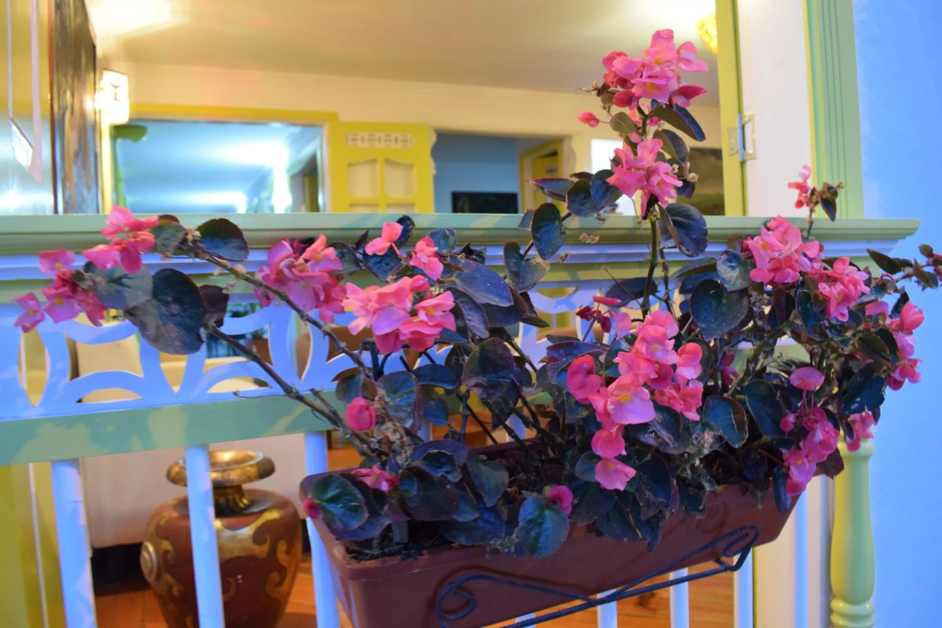 Other in Hotel Salento Plaza