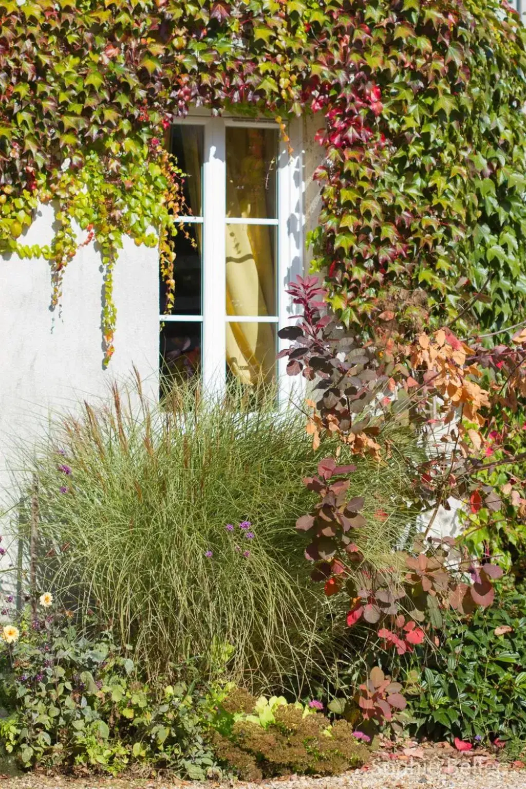 Garden, Property Building in L'Hostellerie d'Acquigny