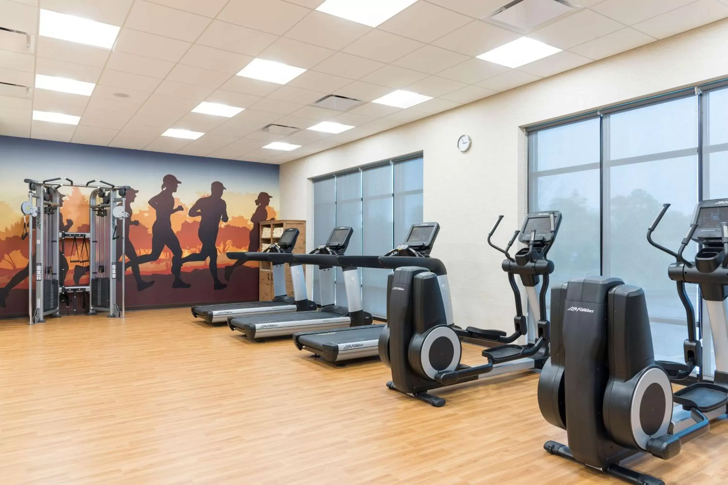 Fitness centre/facilities in Hyatt Place Ann Arbor Fitness centre/facilities in Hyatt Place Ann Arbor