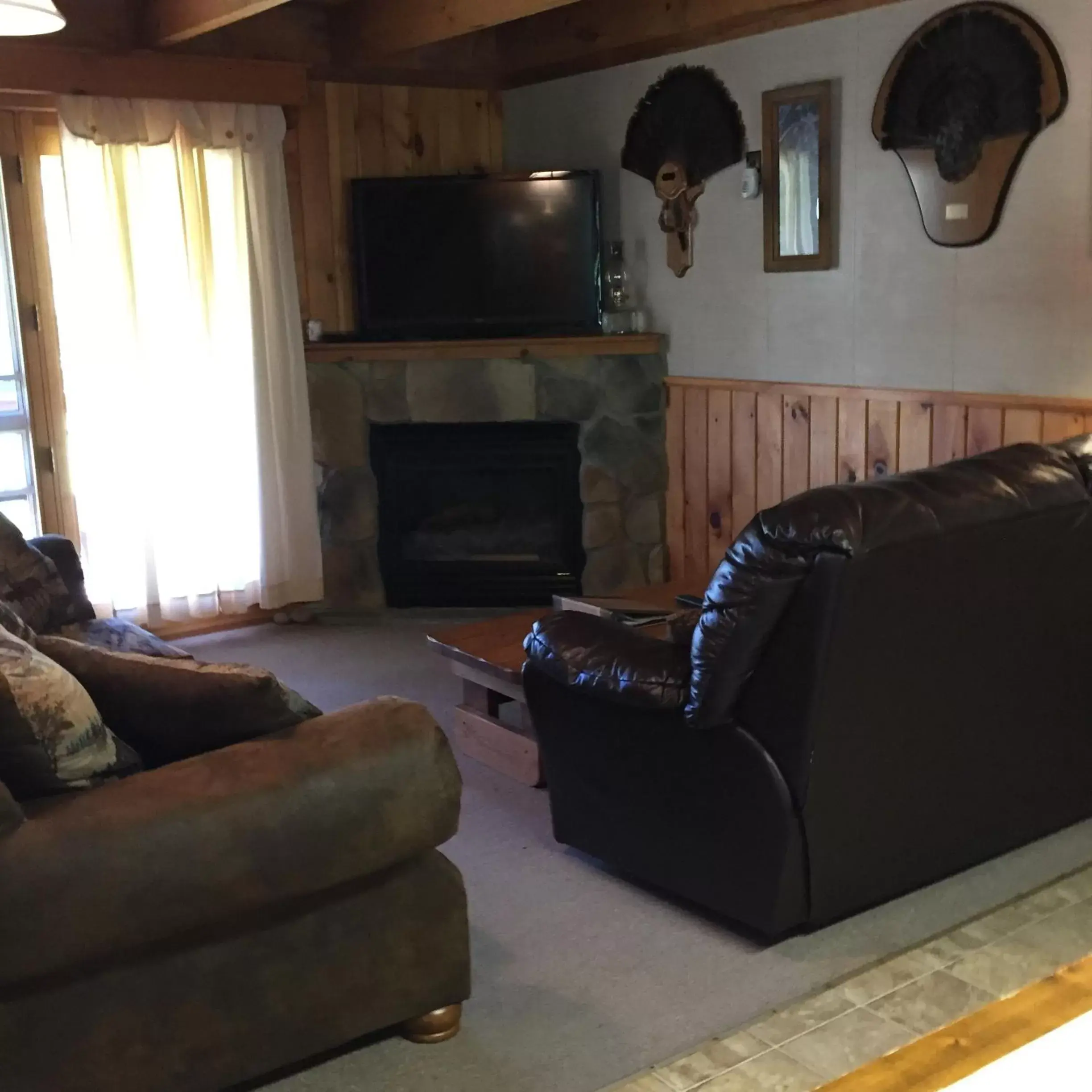 TV and multimedia, Seating Area in Rough Cut Lodge