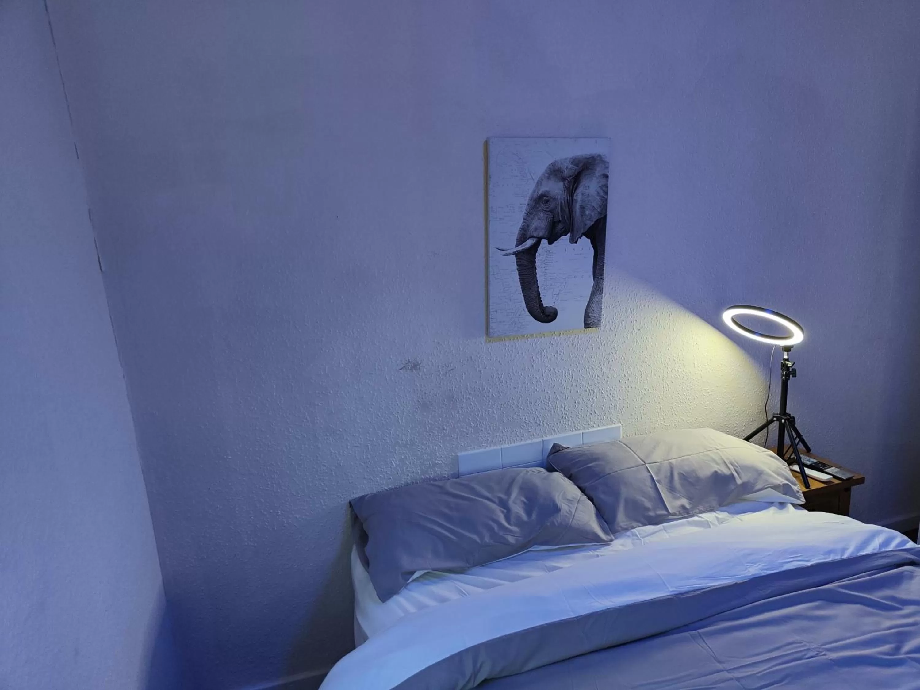 Bed in The Oddfellows Arms