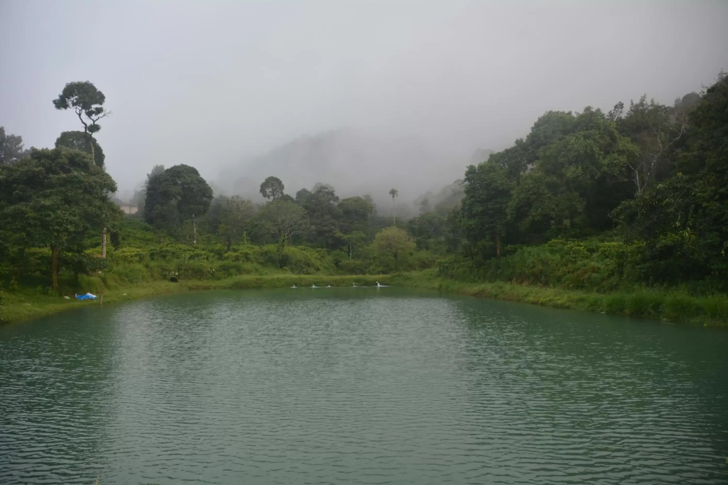 Lake view in Magnolia Estates & Resorts Lake view in Magnolia Estates & Resorts