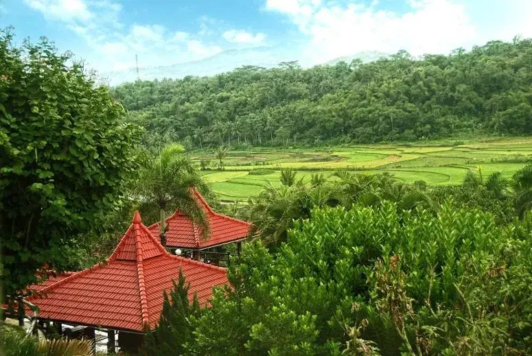 Mountain view in Hotel Puri Asri