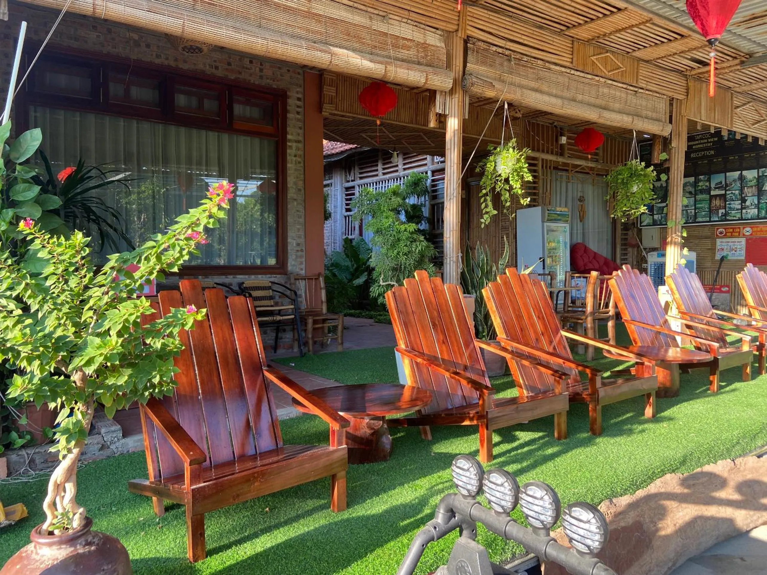 Tam Coc Mountain View Homestay