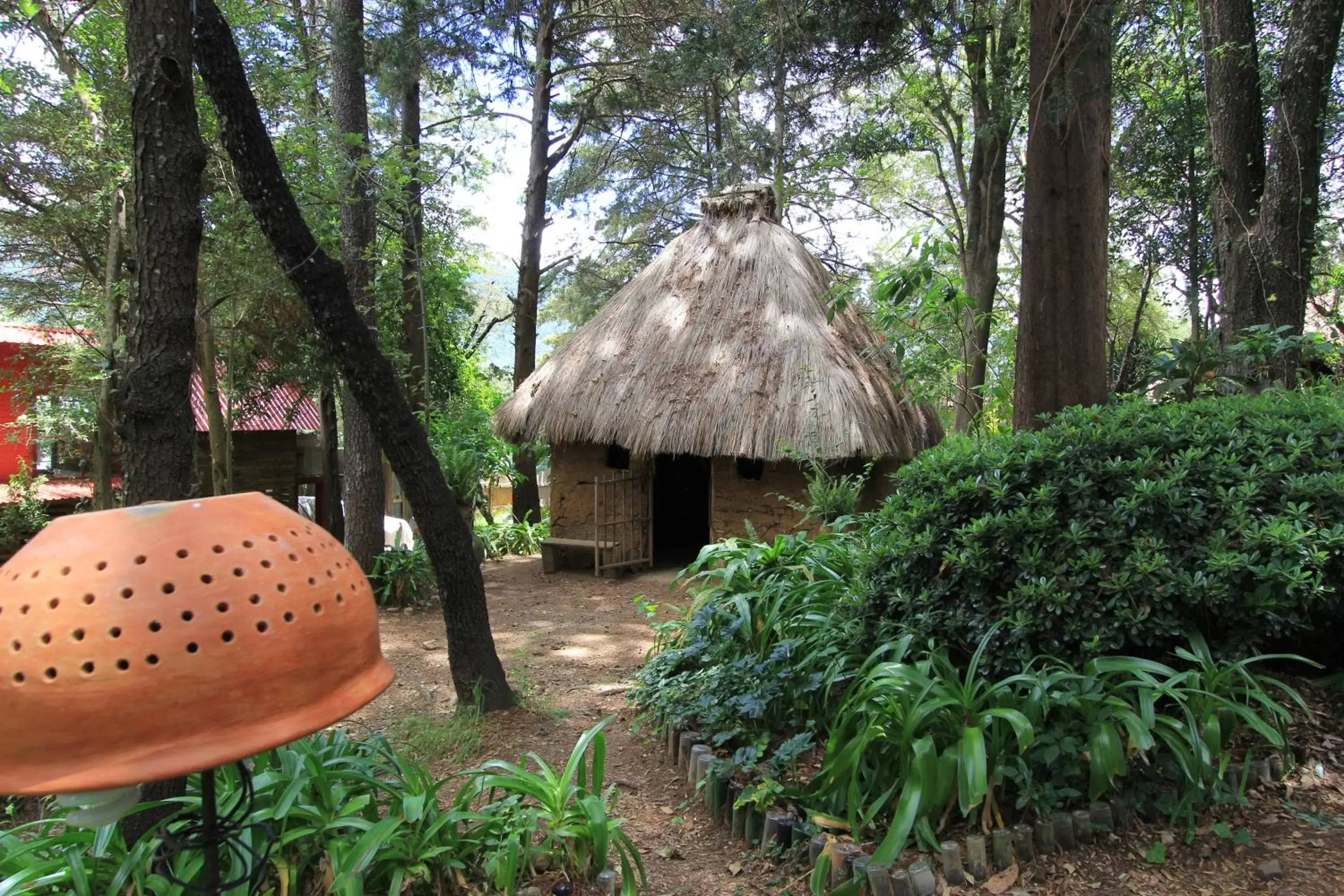 Garden in Hotel Na Bolom