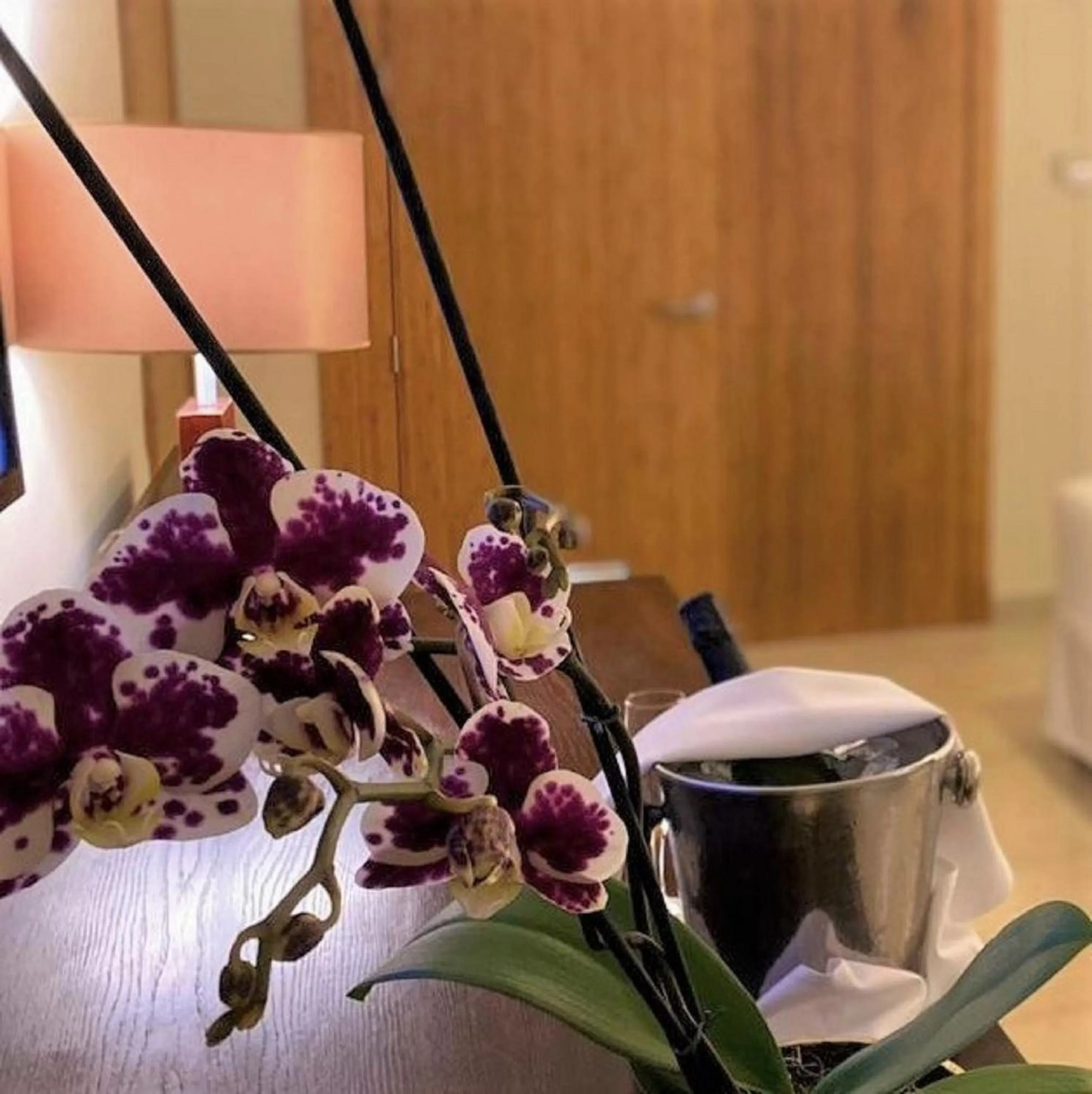 Bedroom in Breathless Punta Cana Resort & Spa - Adults Only - All Inclusive