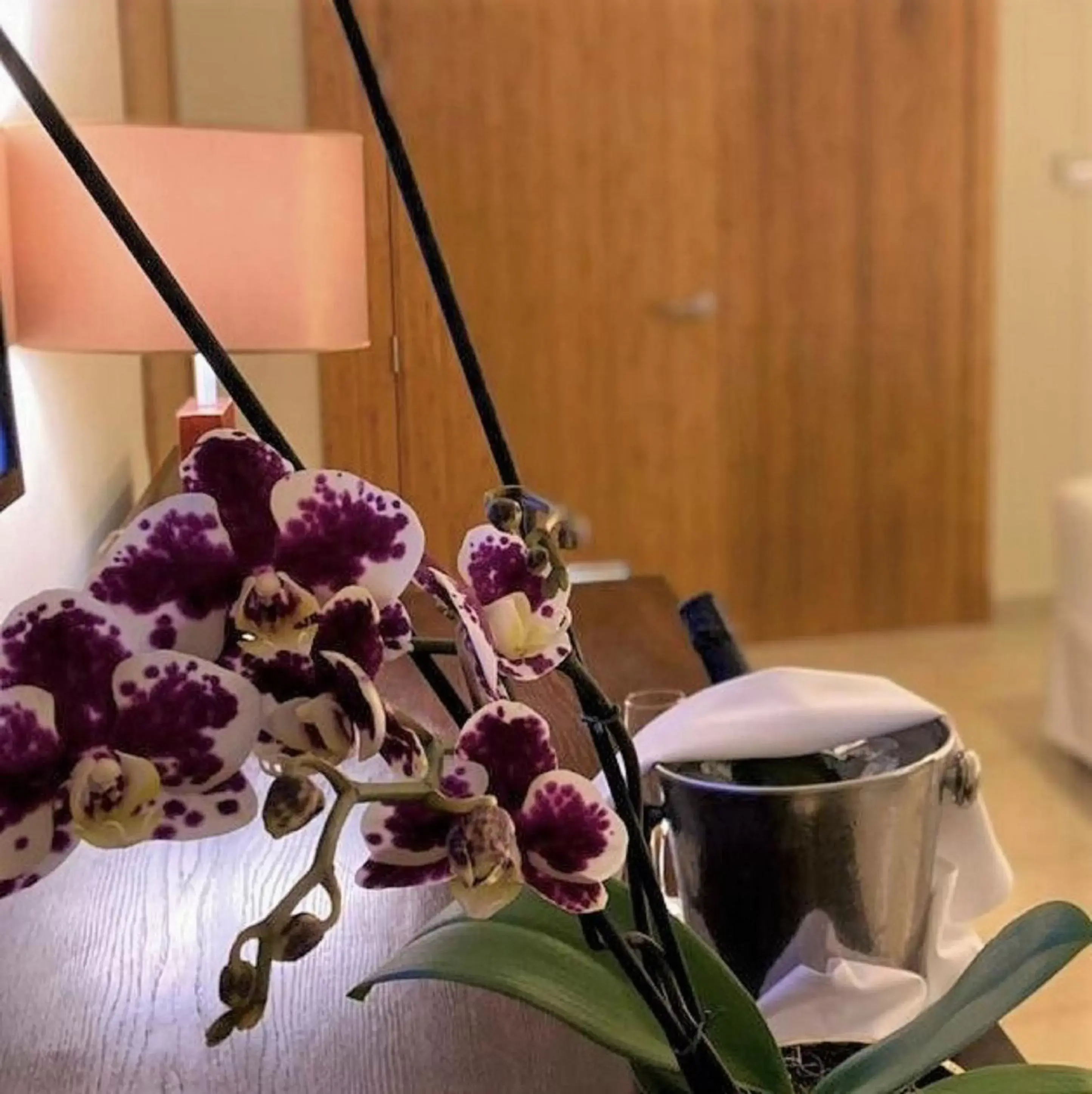 Bedroom in Breathless Punta Cana Resort & Spa - Adults Only - All Inclusive Bedroom in Breathless Punta Cana Resort & Spa - Adults Only - All Inclusive