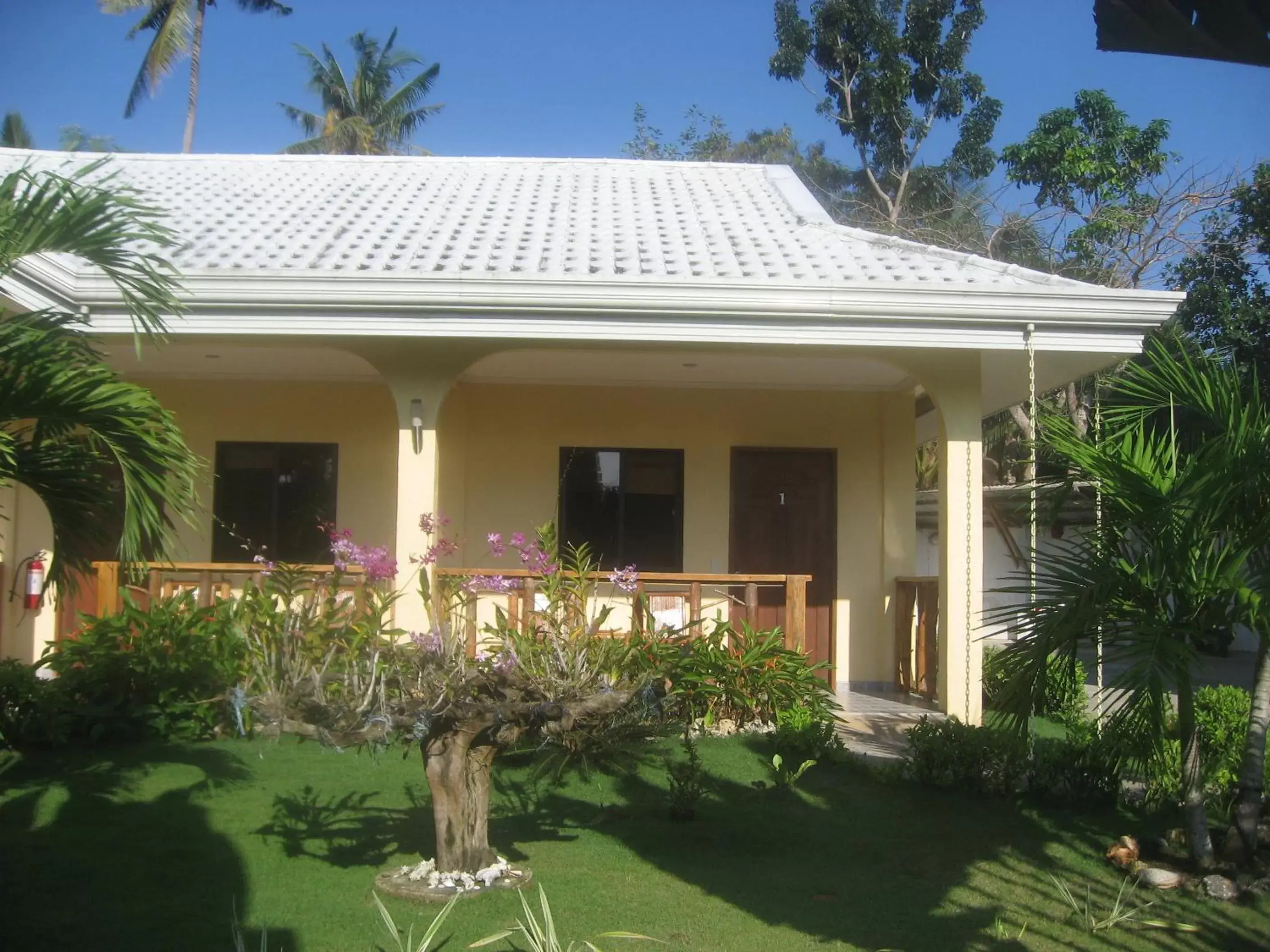 Garden, Property Building in Bohol Sunside Resort