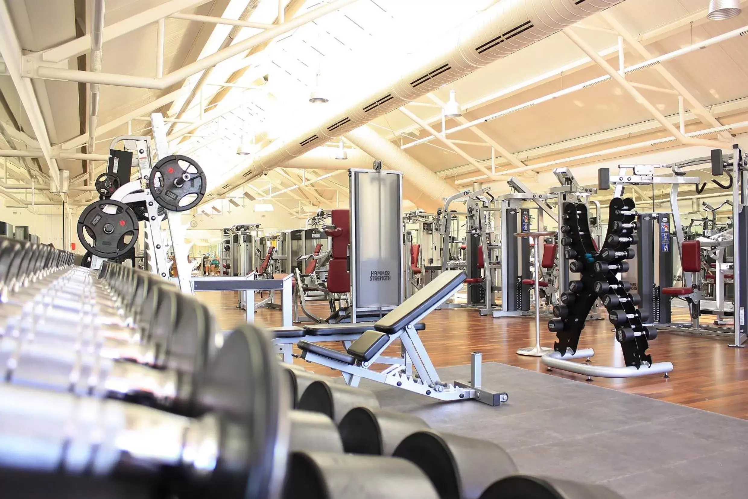 Fitness centre/facilities, Fitness Center/Facilities in SportScheck Hotel
