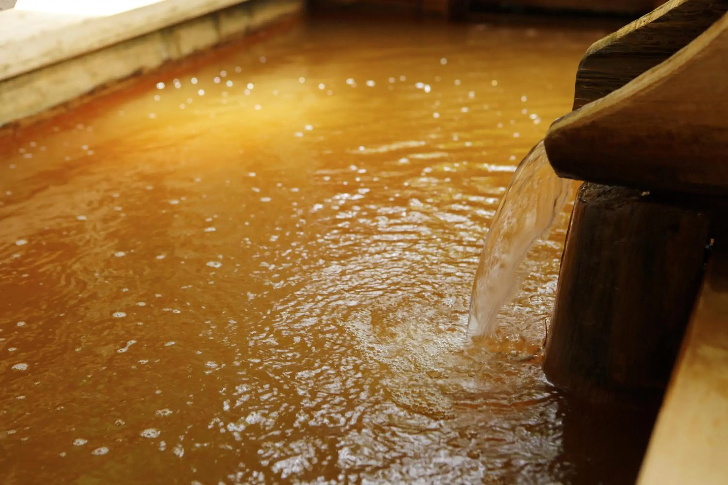 Hot Spring Bath in Negiya Ryofukaku