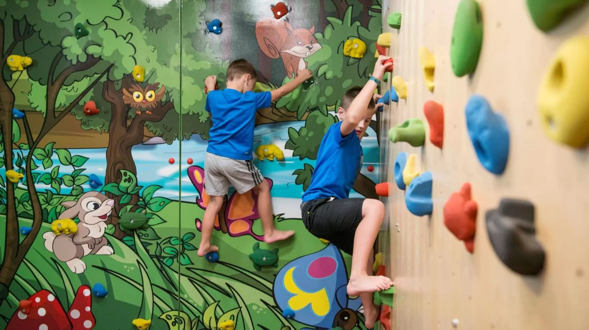 Activities in Hotel Sommerhof