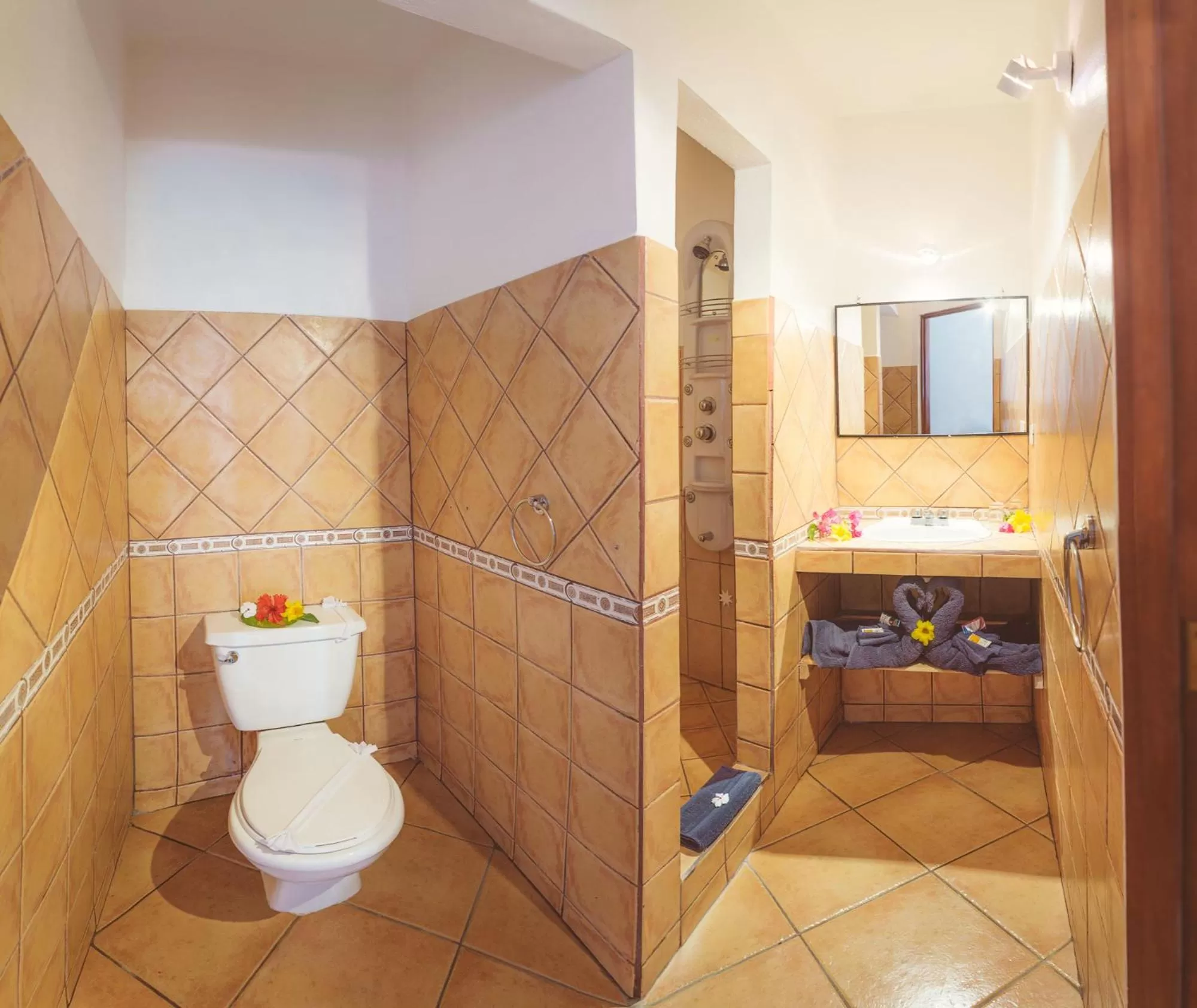 Toilet in Hotel Laguna del Cocodrilo