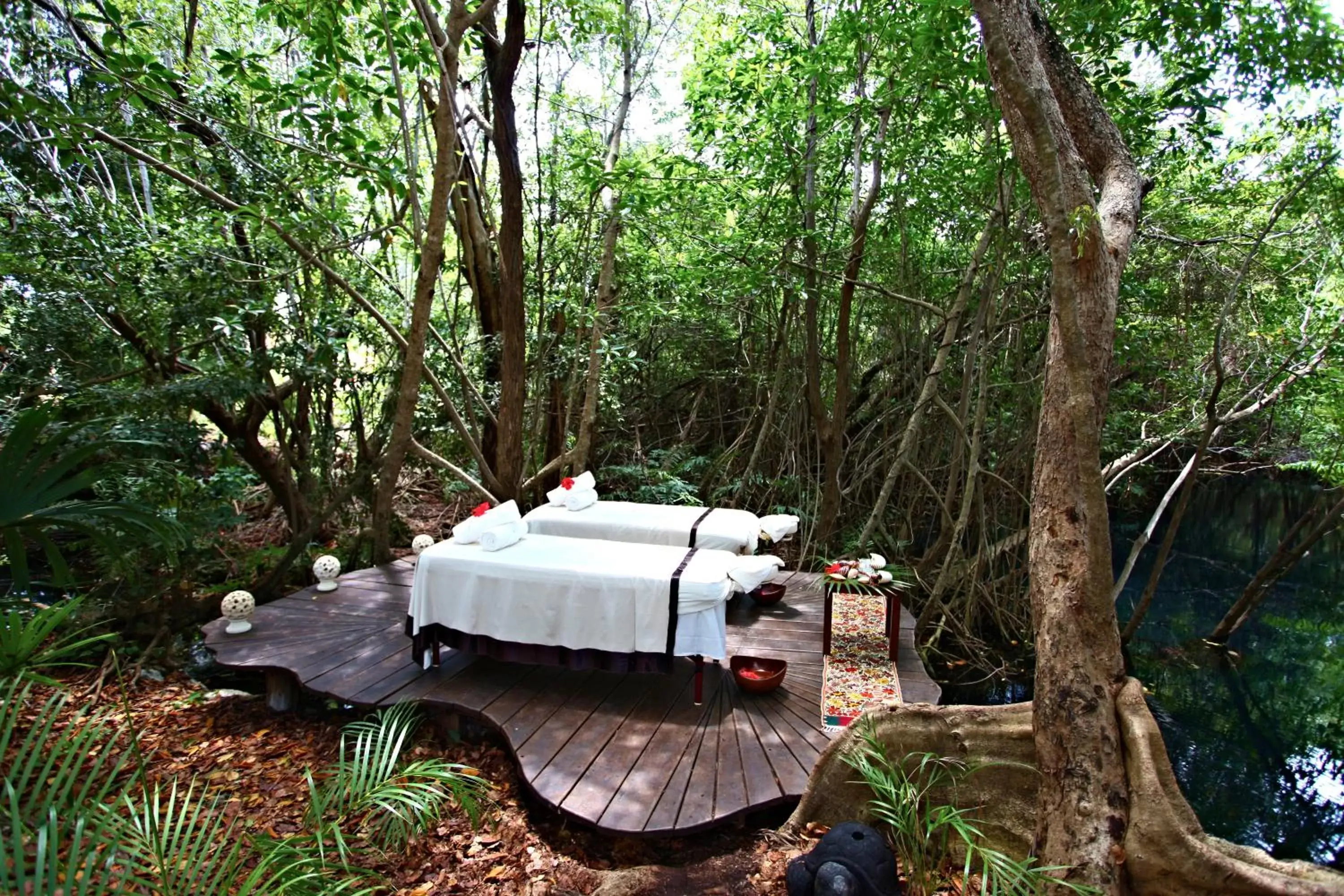 Natural landscape, Patio/Outdoor Area in Sandos Caracol Eco Resort All Inclusive