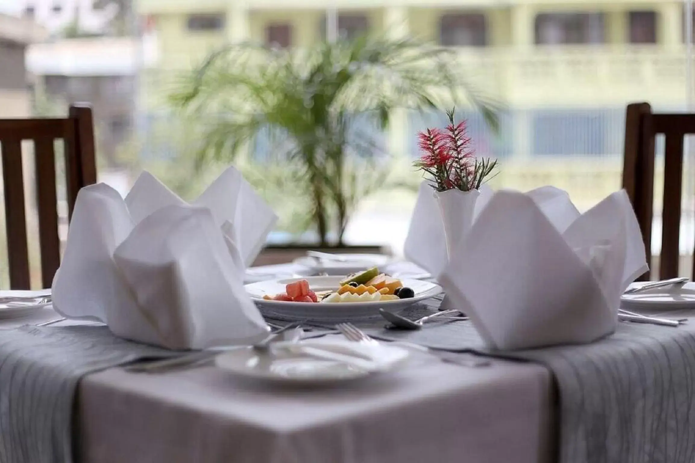 Restaurant/Places to Eat in Venus Premier Hotel