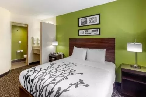 Bedroom, Bed in Sleep Inn Ogden near Event Center