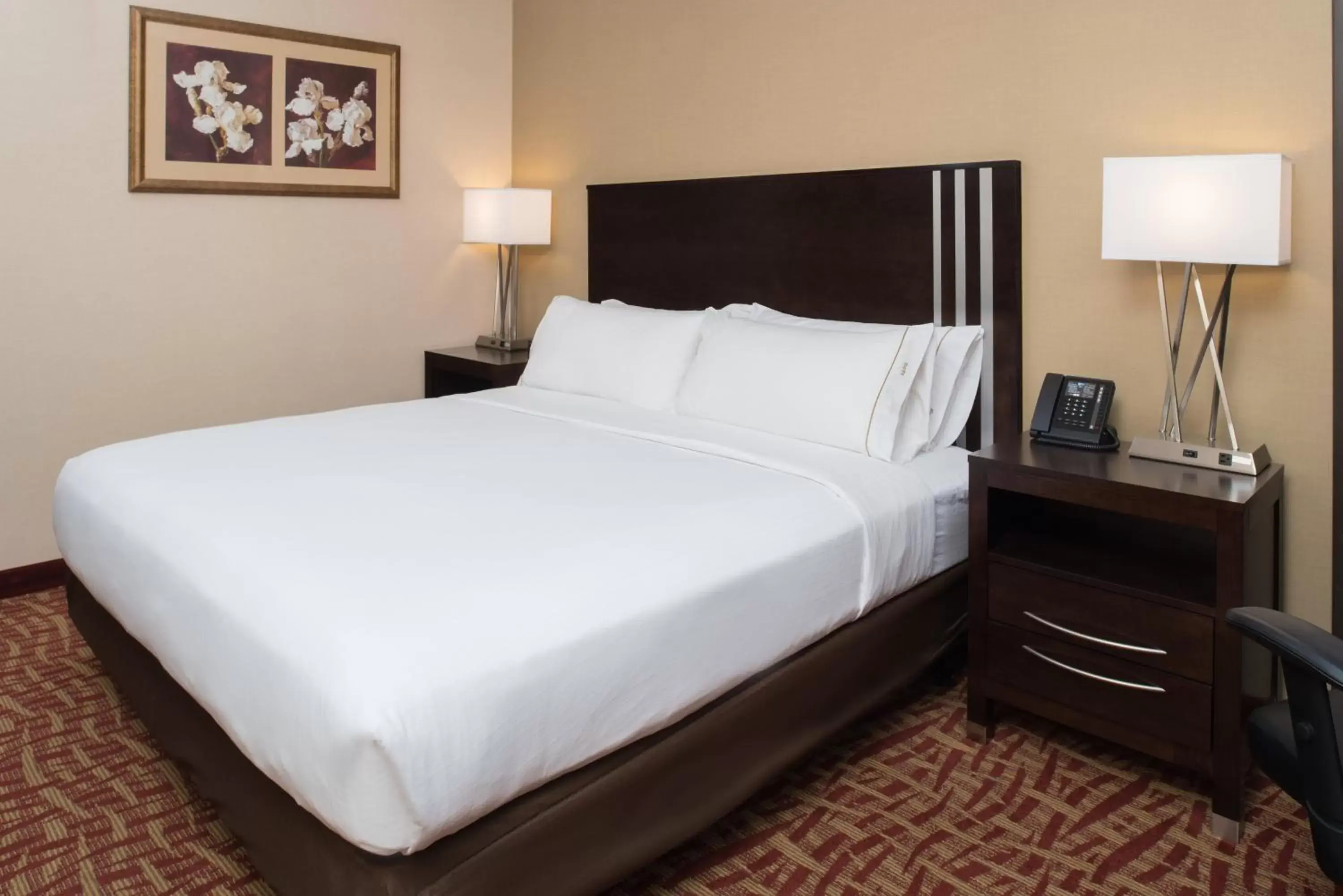 Photo of the whole room, Bed in Holiday Inn Express Spokane-Valley, an IHG Hotel