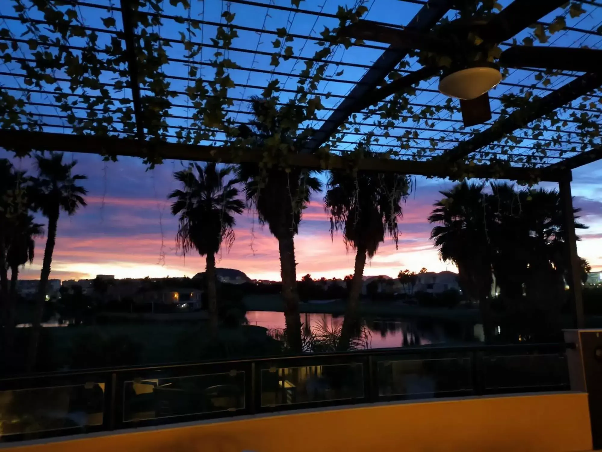 Restaurant/places to eat in Hotel Alicante Golf Restaurant/places to eat in Hotel Alicante Golf